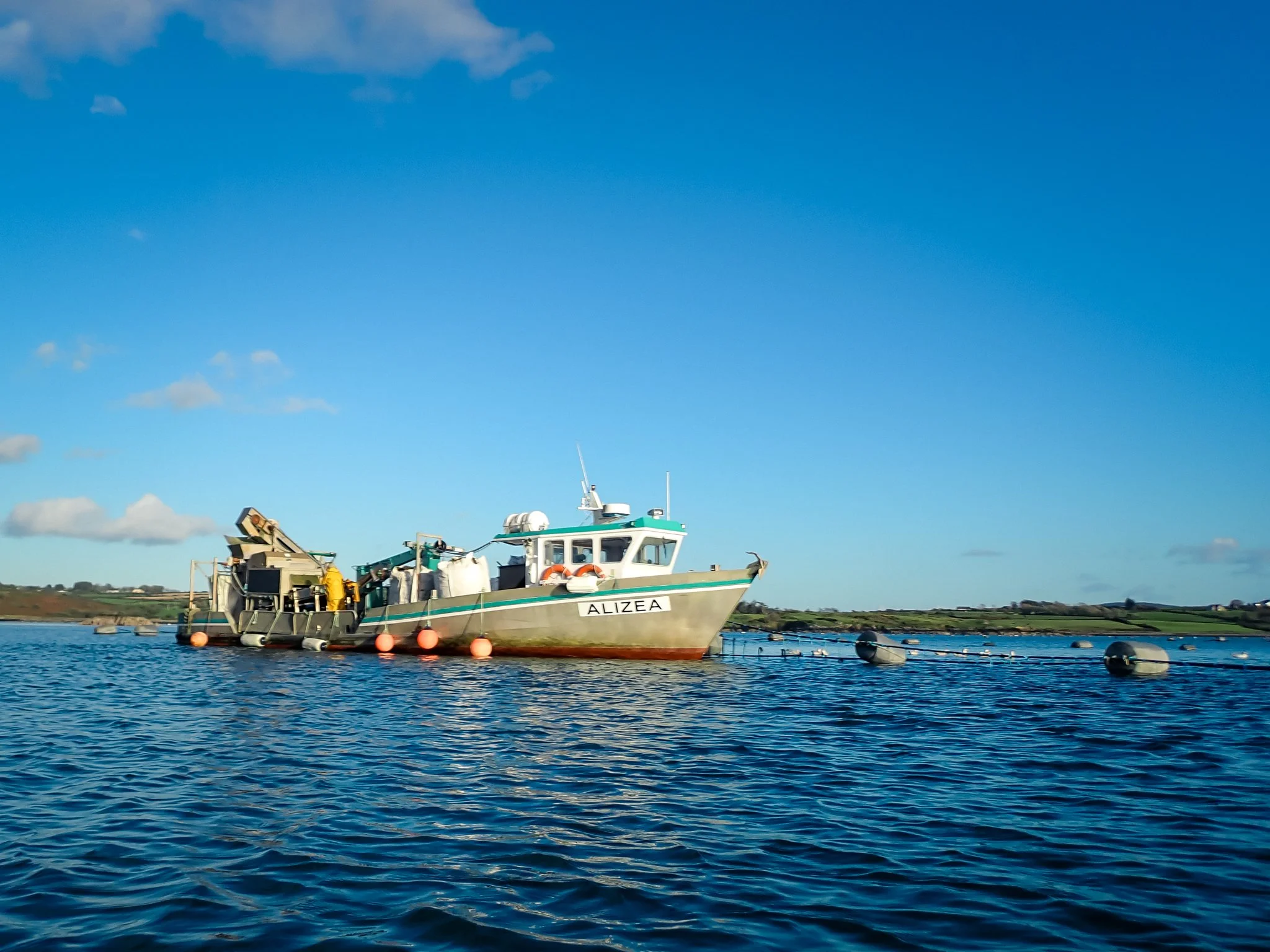 2026-10-16 Roaringwater Bay Paddle - PA161021 (web-res).jpg