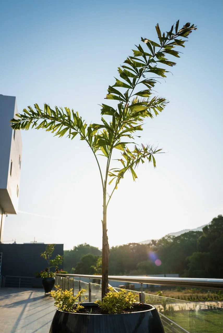 2024-04-14 Hotel Cinco Diamantes, Atotonilco el Alto - L1011942.jpeg