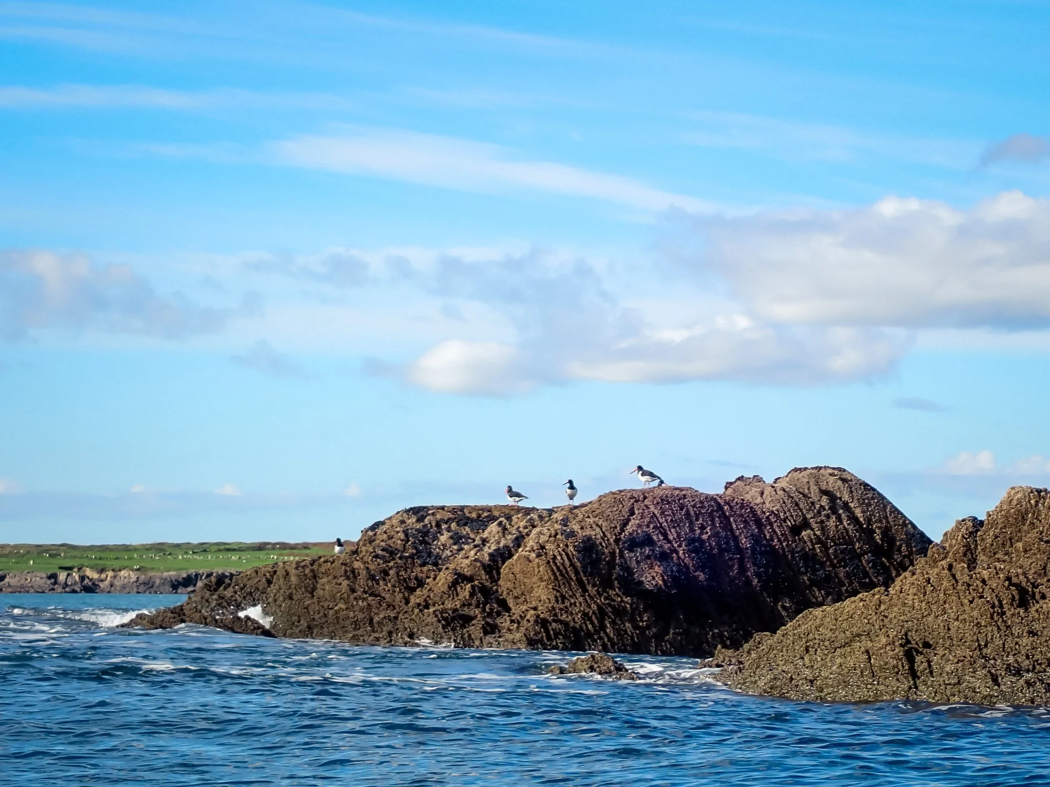 2026-10-18 Calf Islands Paddle - PA181290 (web-res).jpg