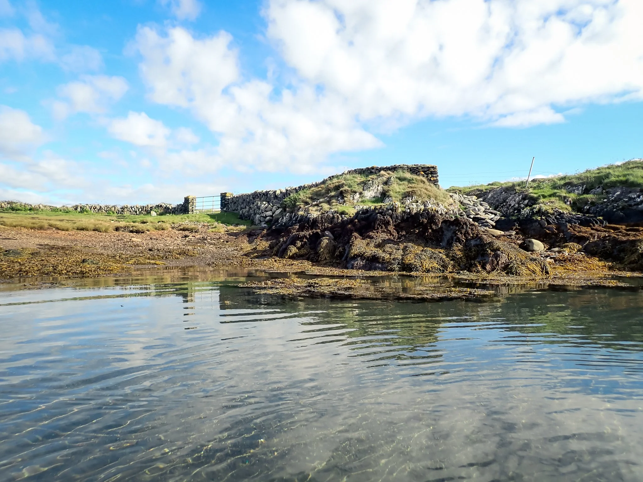2026-10-18 Calf Islands Paddle - PA181276 (web-res).jpg