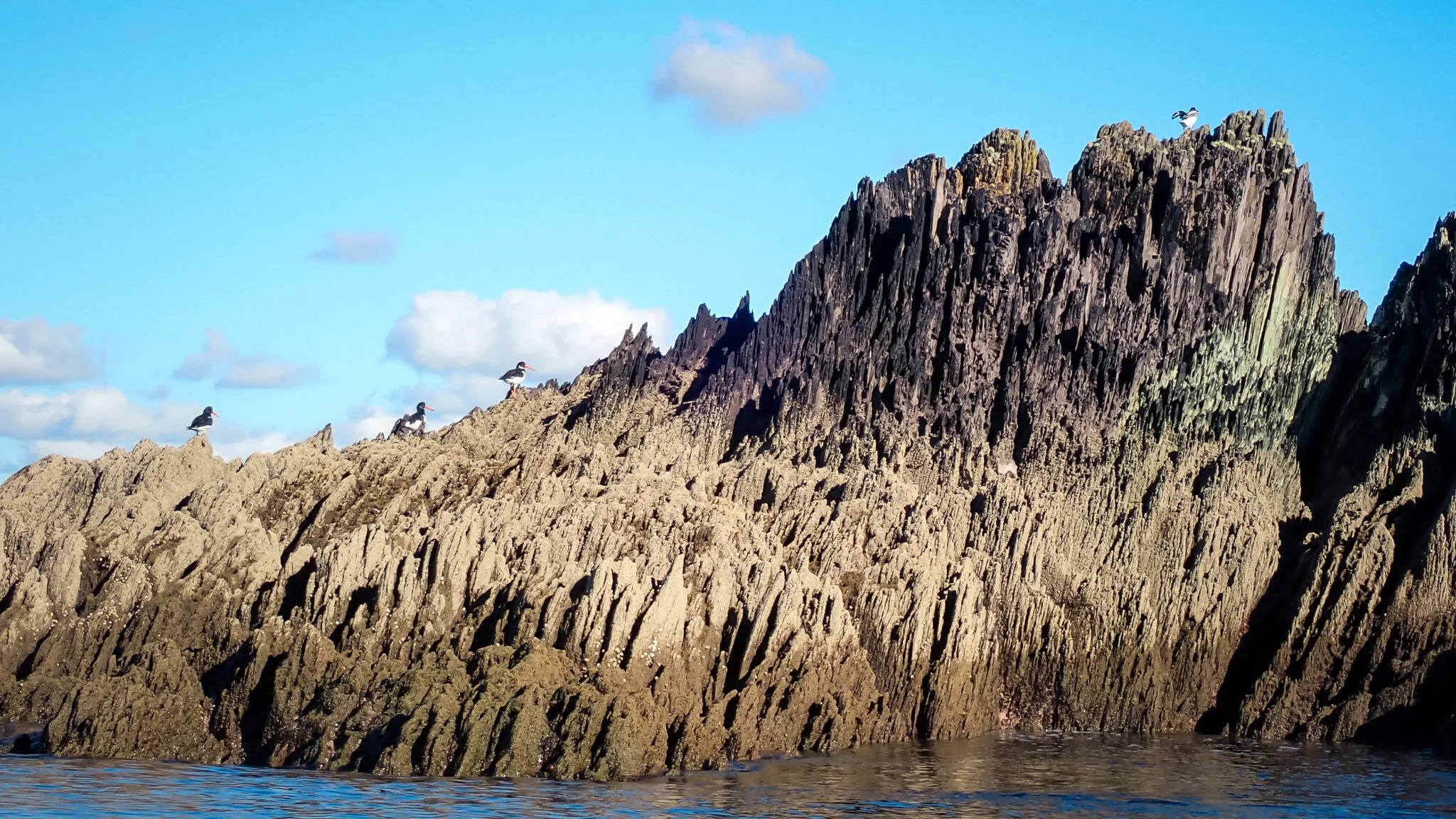 2026-10-18 Calf Islands Paddle - PA181329 (web-res).jpg