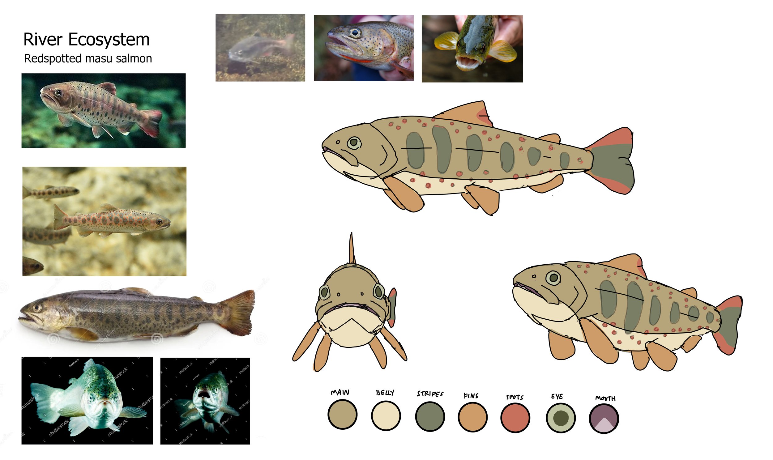 Fish