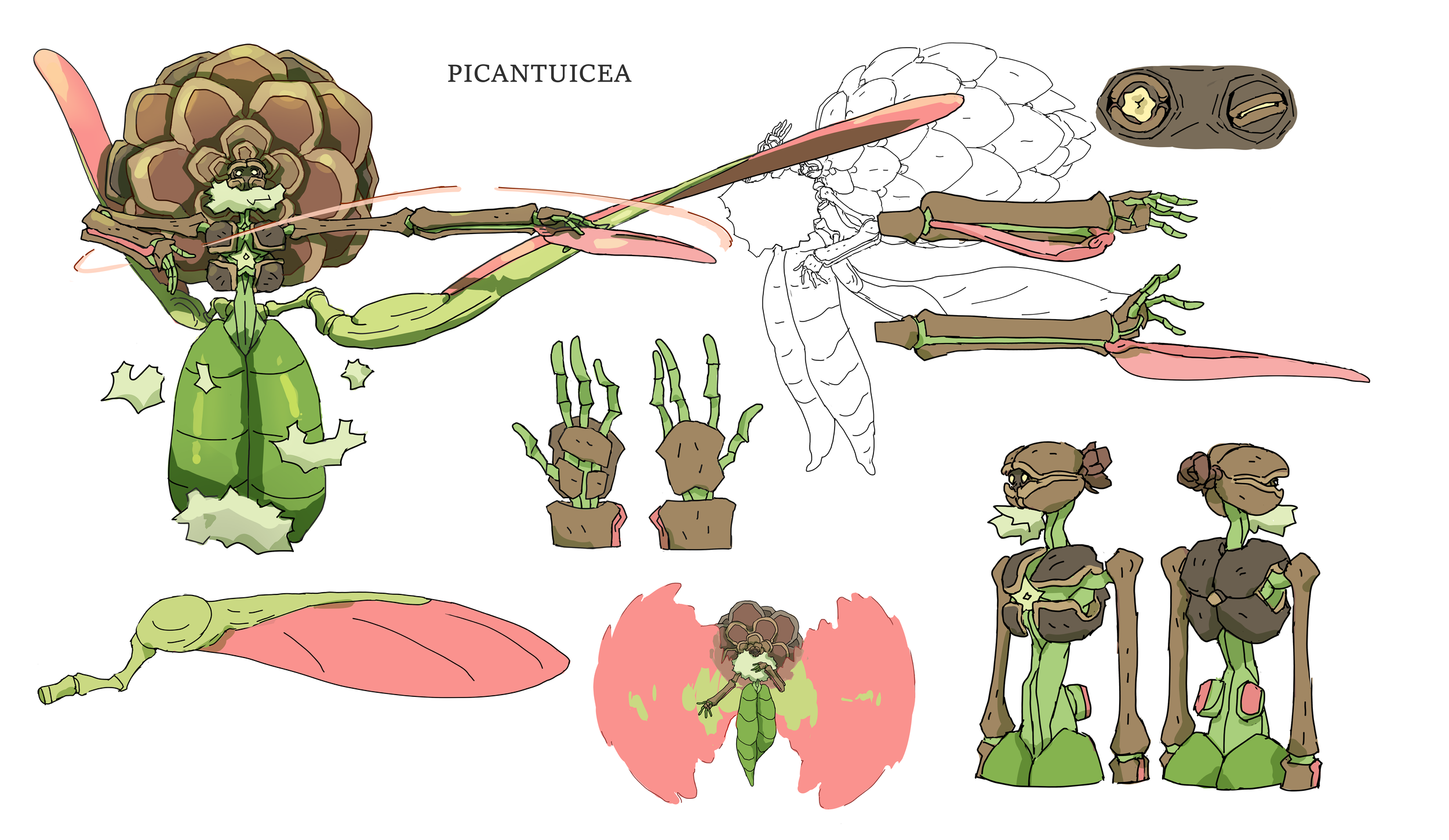 Design from a personal story