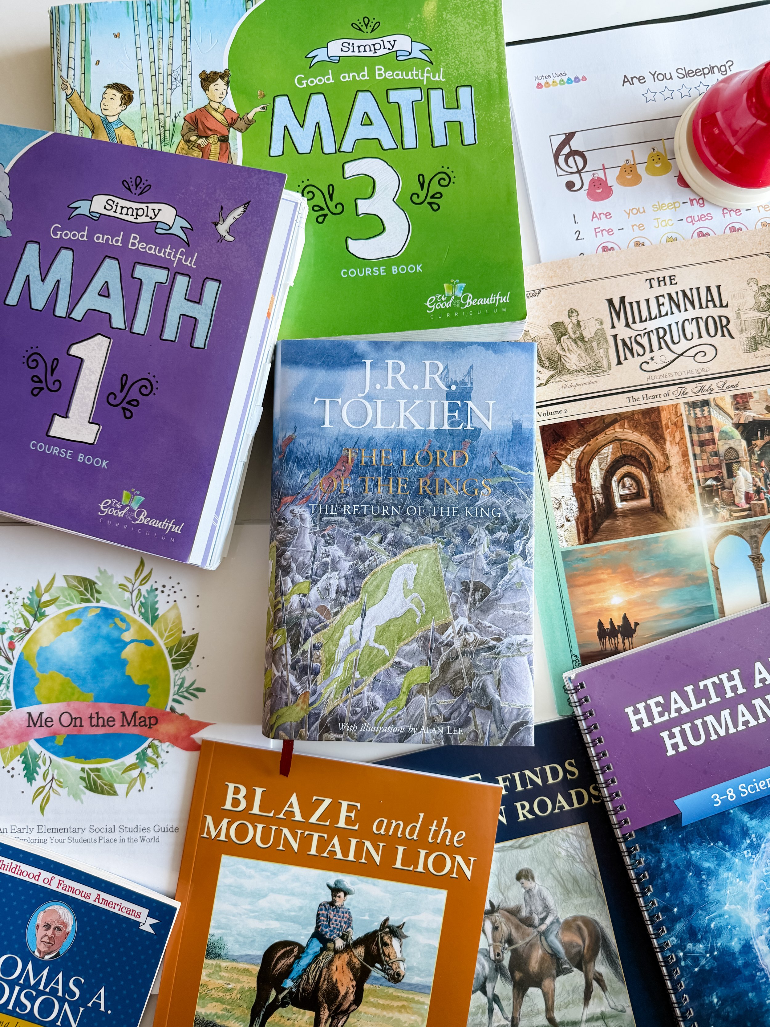 Mid-Year Homeschool Curriculum Update
