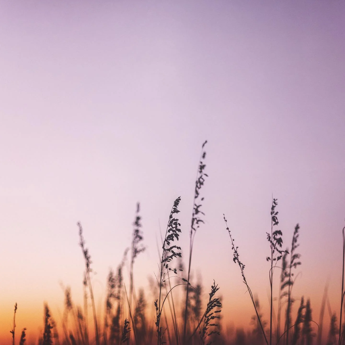 I work with people all over the globe facing massive overwhelm and upheaval. Not only are meltdowns prevalent in the individual, but throughout our whole societal structure. What I see the individual going through is a fundamental and internal discon