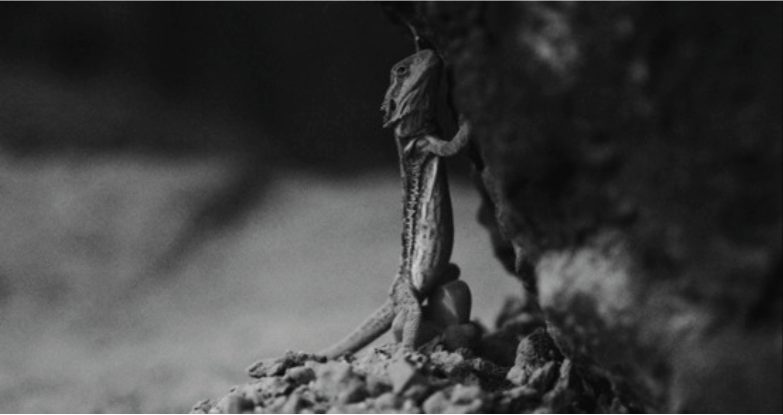 螢幕快照 2022-07-12 13.21.28.png