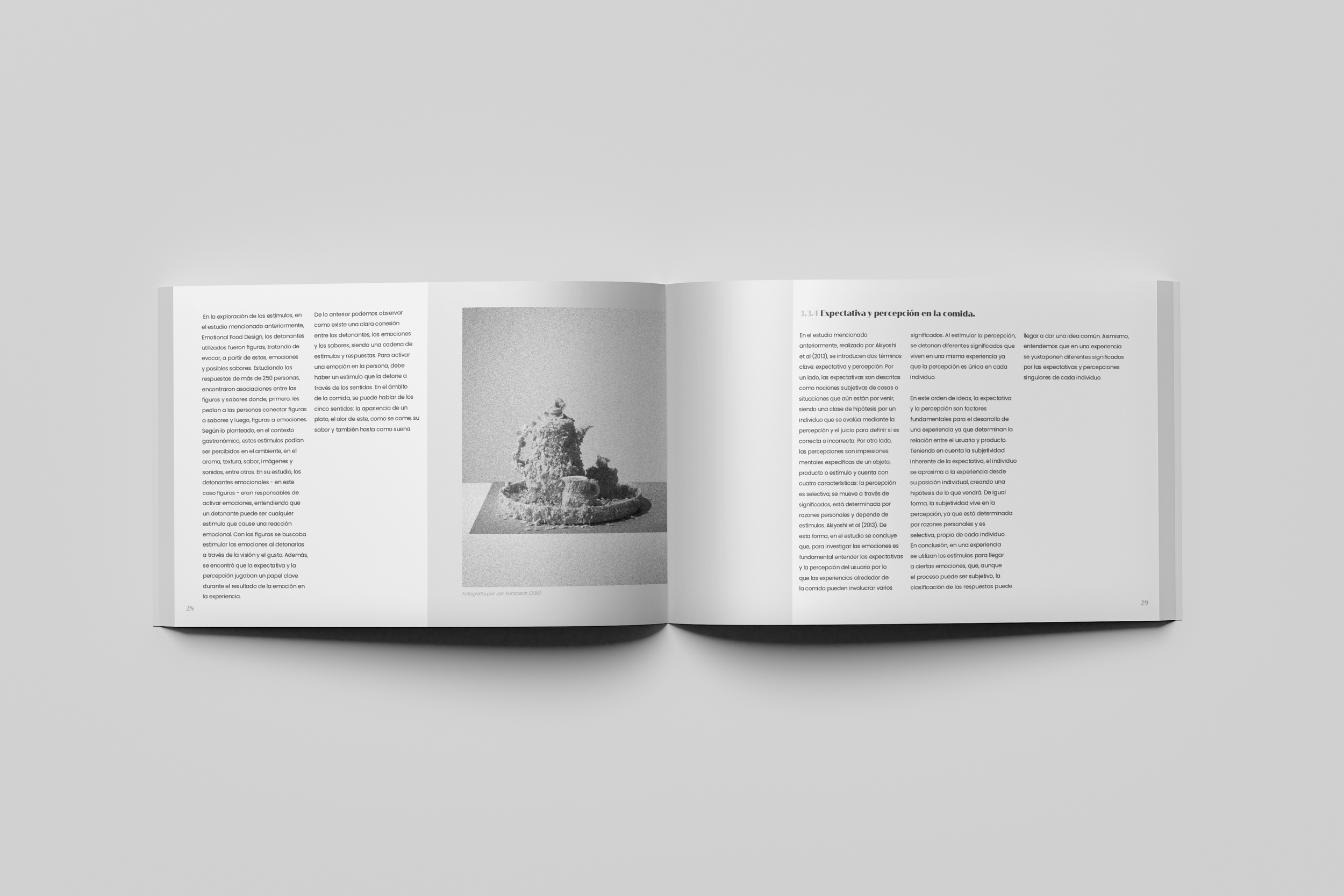 mise en ser paginas abiertas3.png