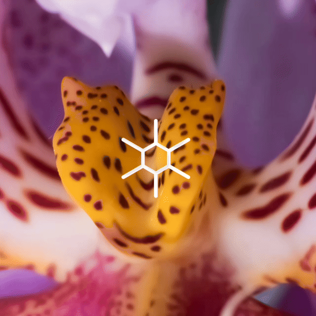 Jardín Botánico de Medellín