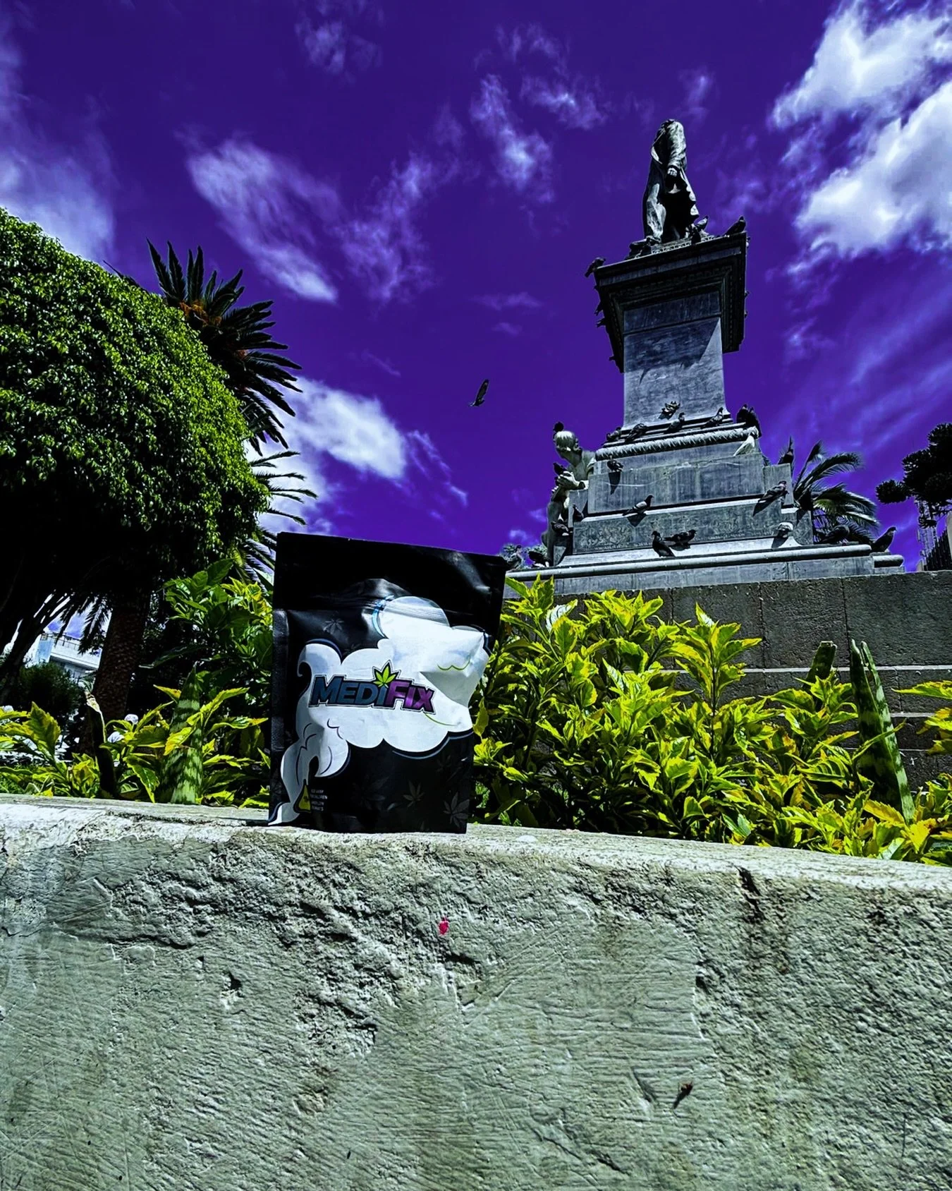 Medifix on location in Ecuador at the beautiful and historic parque Montalvo located in the heart of the city Ambato. Medifix world citizen 🌎  #ecuador #ambatoecuador #parquemontalves #ambatotierradefloresyfrutas