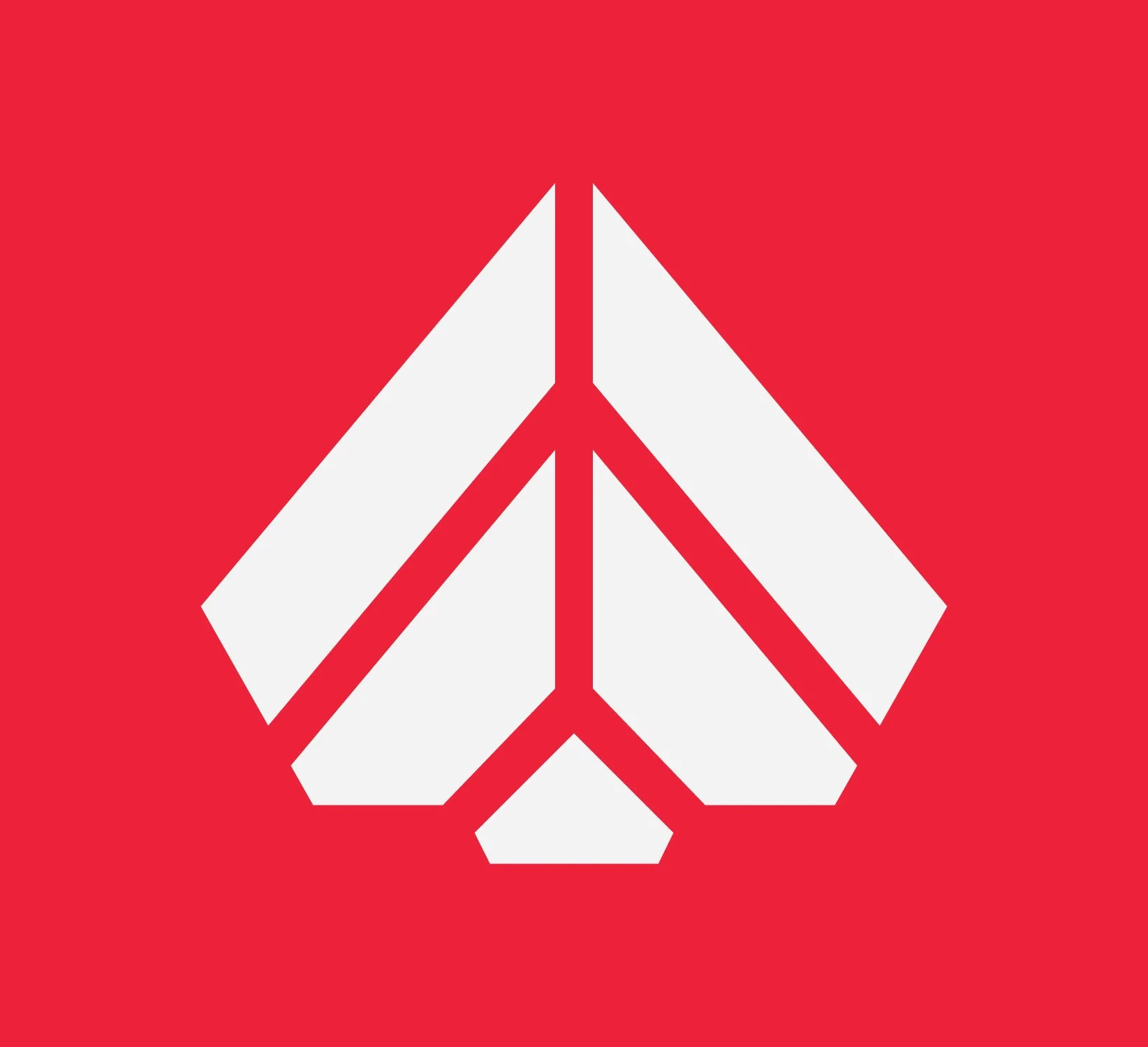 ACELogo_WhiteOnRed.jpg