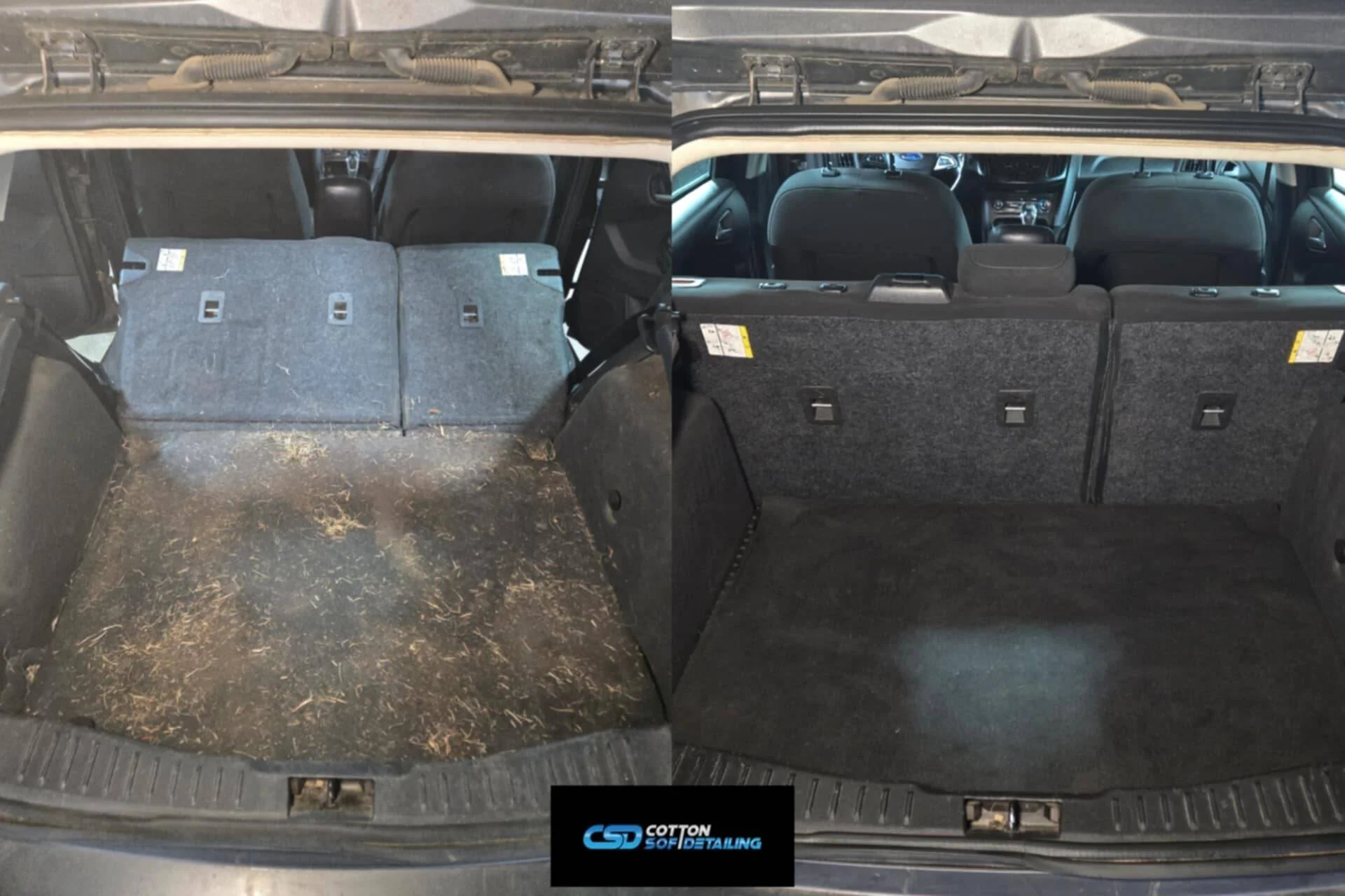 Biohazard car cleaning