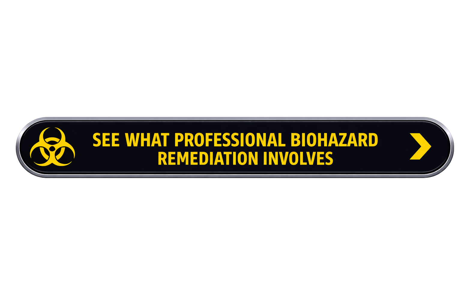 see what professional biohazard damage in car involves