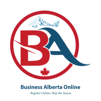 professional automotive interior services