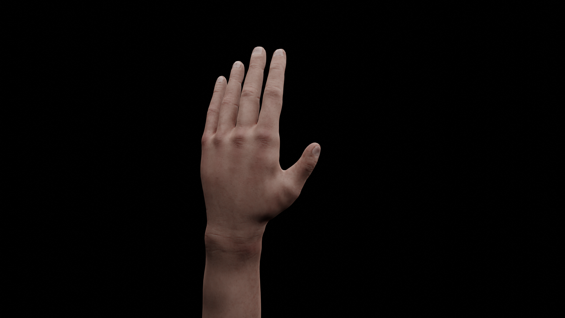 FreeHandModelRender_01.png