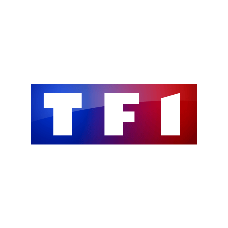 TF1 Journal de 13h : Nuit de galère sur la ligne TGV Paris-Lyon-Marseille