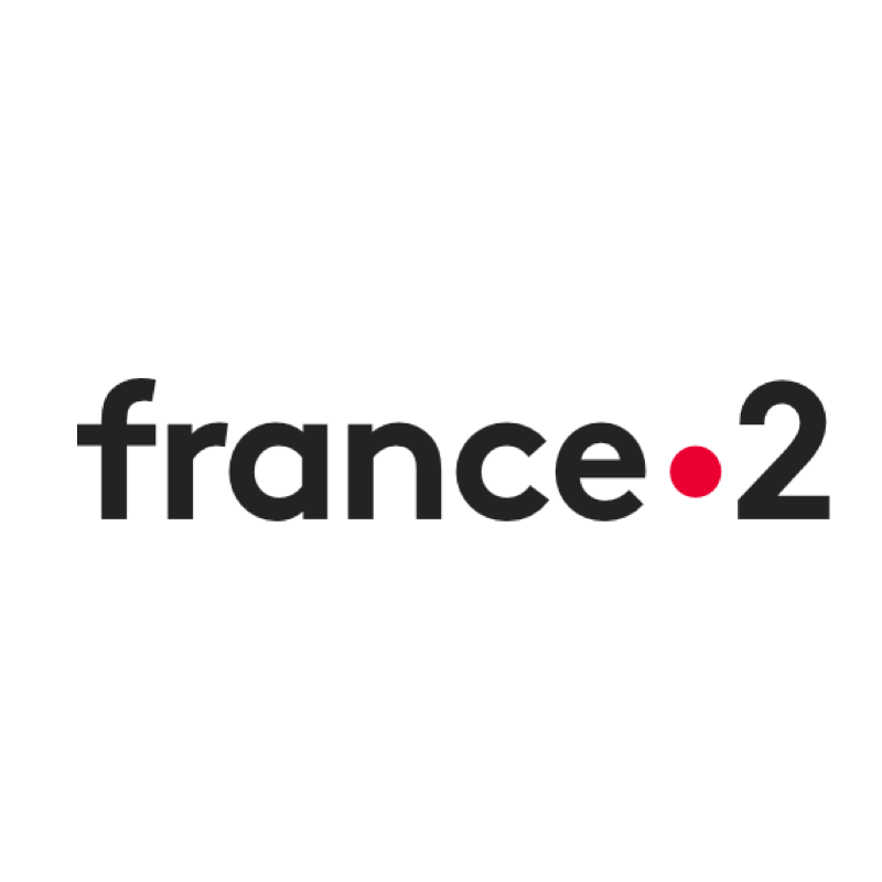 France 2 Journal de 20h — Trains, avions : comment faire voyager les enfants seuls ?