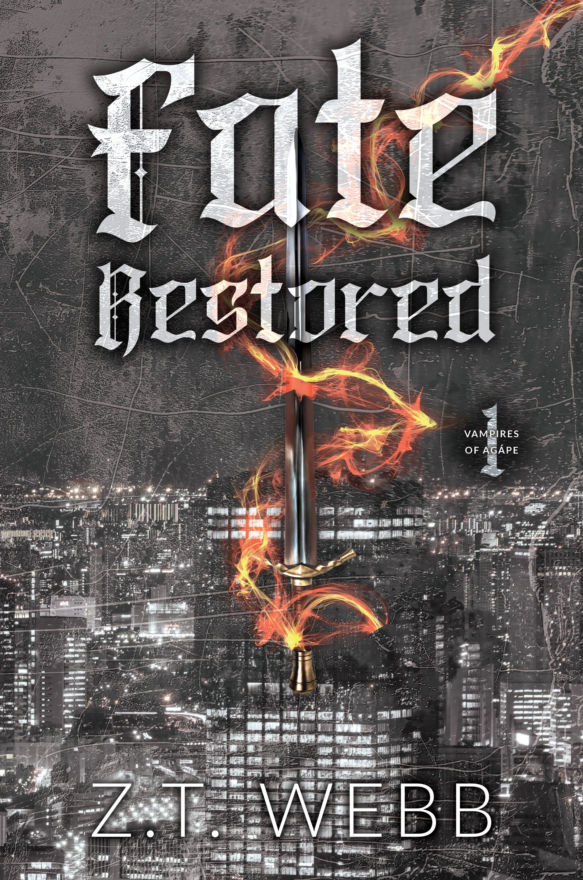Cover of a book titled 'Hate Destroyed' by Z. T. Webbb. The cover features a city skyline at night with a sword with flames and smoke around the blade, and a dark, textured background.