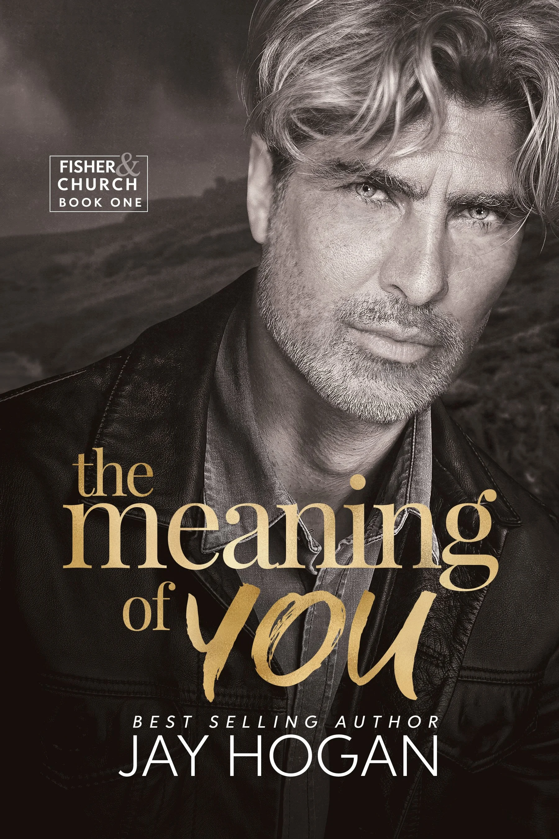 Book cover of 'The Meaning of You' by Jay Hogan featuring a black-and-white close-up of a man's face with silver hair, a beard, and piercing eyes, dressed in a leather jacket, with a background of ocean waves.