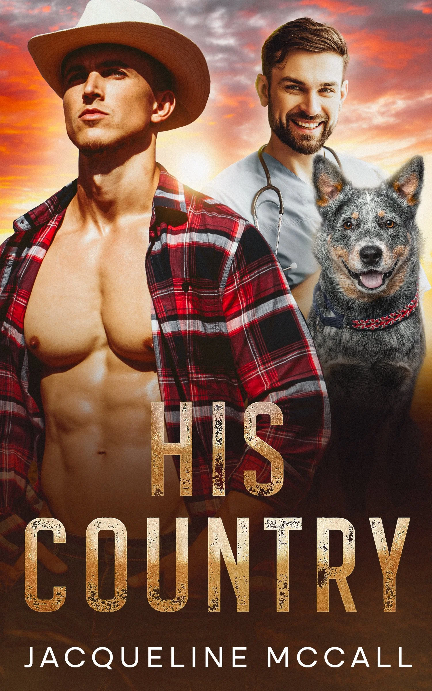 Book cover titled "His County" featuring a shirtless man wearing a plaid shirt and a cowboy hat, a smiling man with a stethoscope, and a dog against a sunset background.