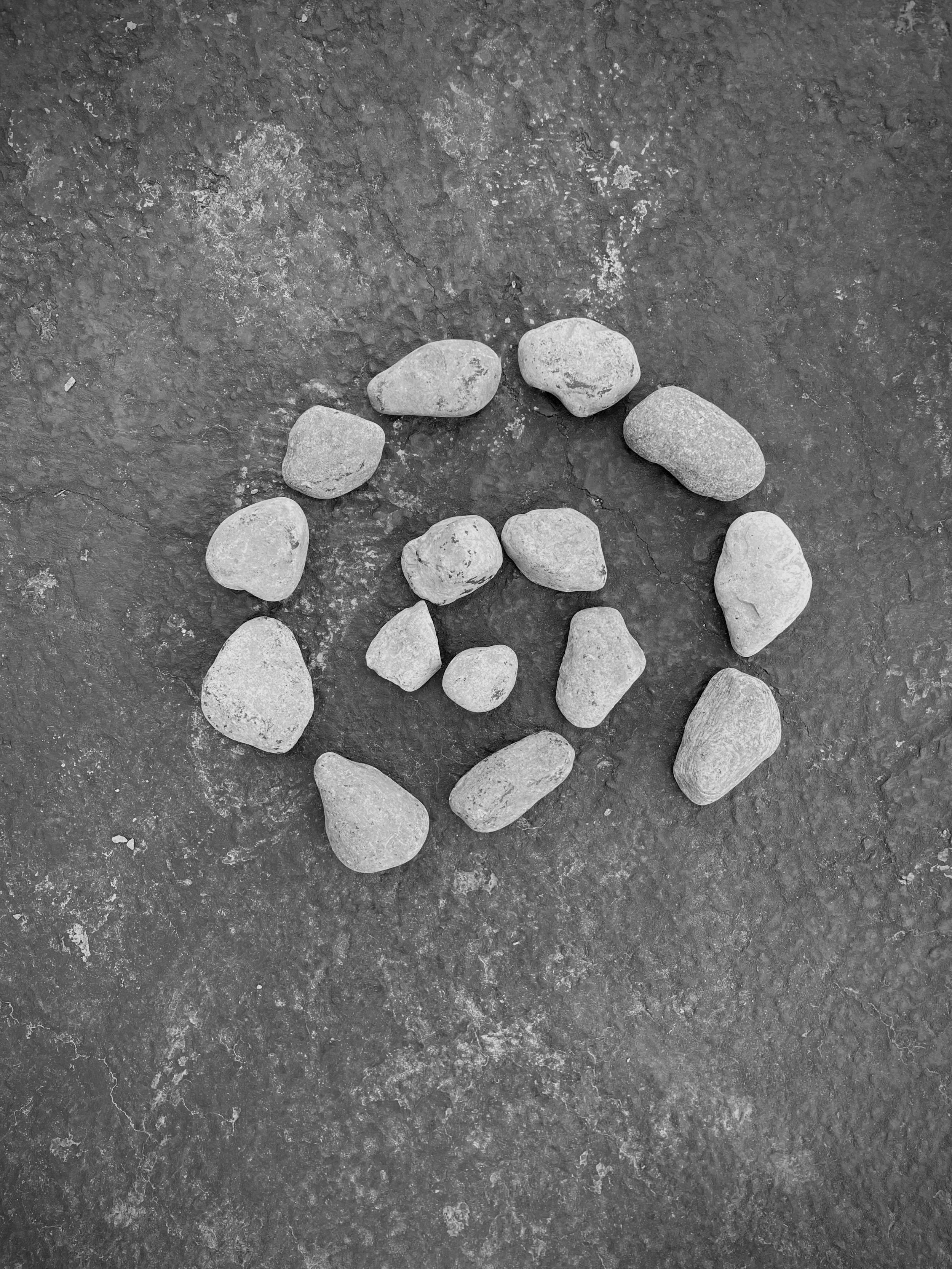 Rooted Transition Partnership