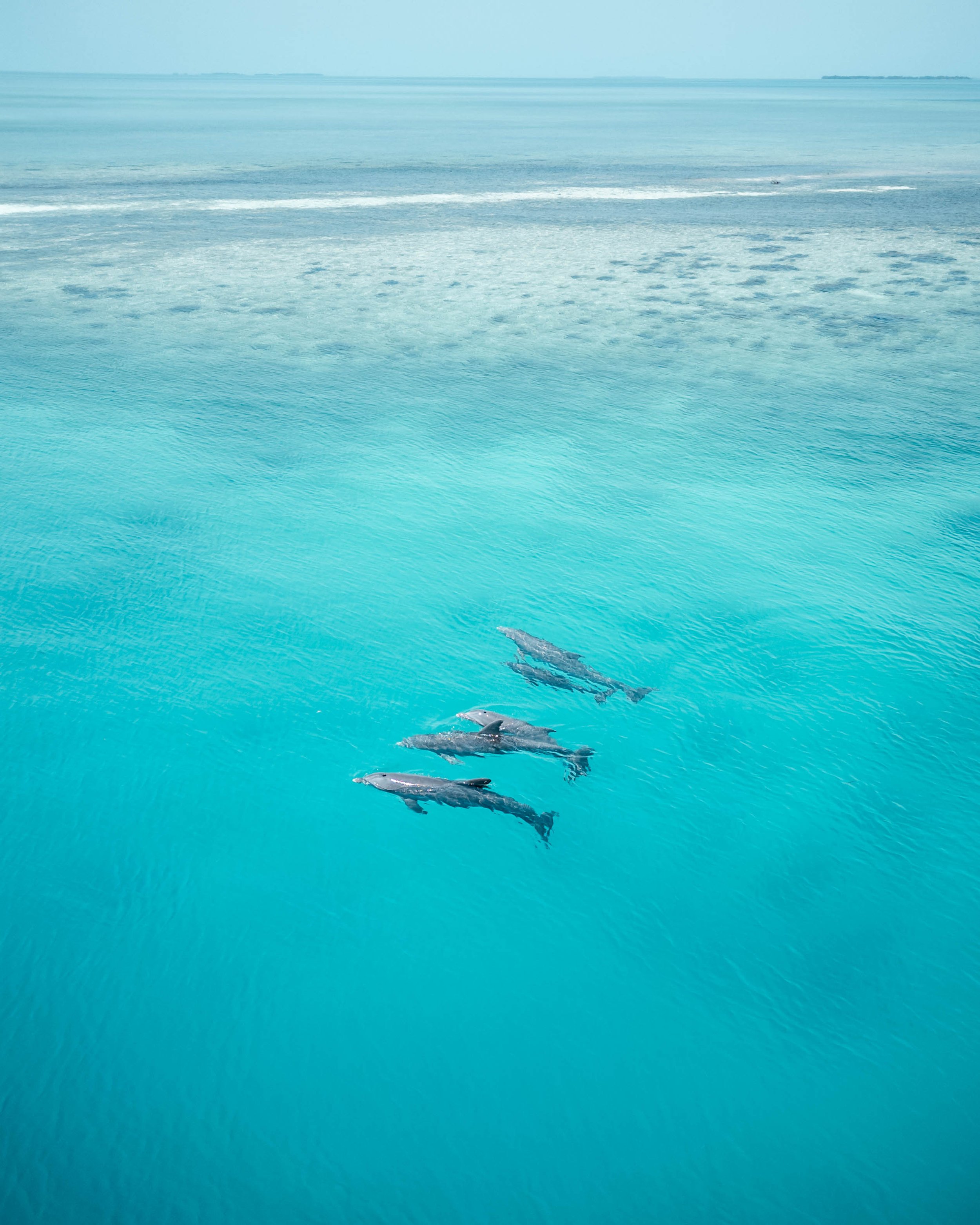 DJI_0959.jpg