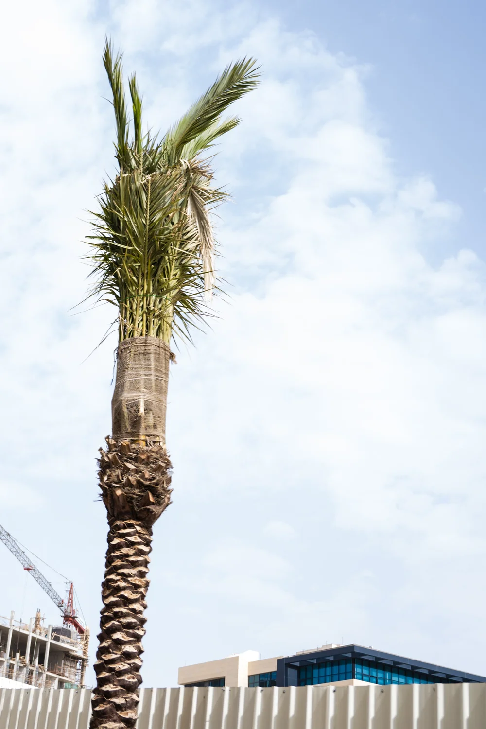 citadel and ampitheater-6.jpg