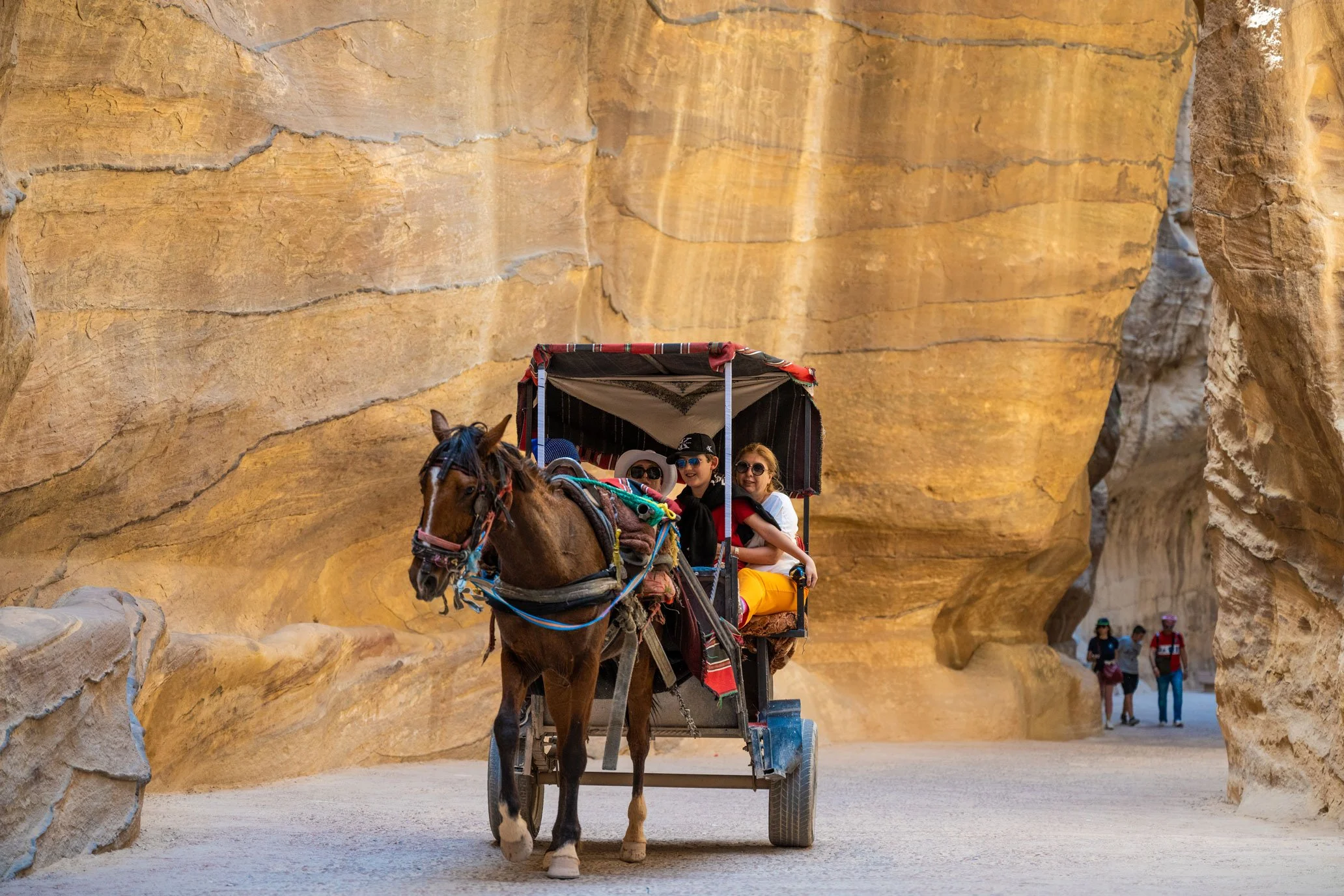 horse-drawn-carriage-with-smiling-kids-in-suk-at-petra.jpg