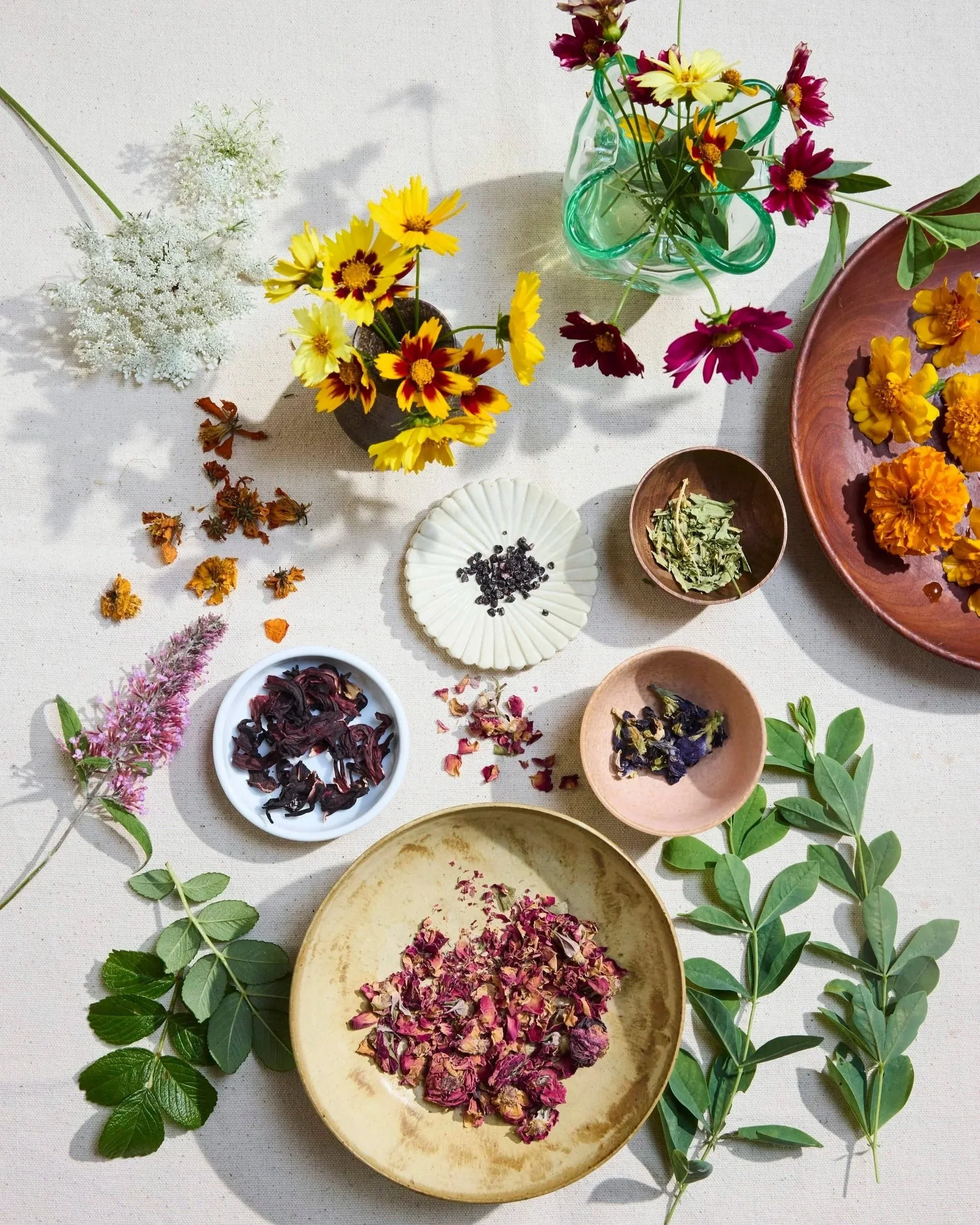 An array of flowers, leaves, and dried herbs for bundle dyeing arranged on a light-colored surface, with various bowls and plates containing different dried flowers and herbs, some in vases and others loose.