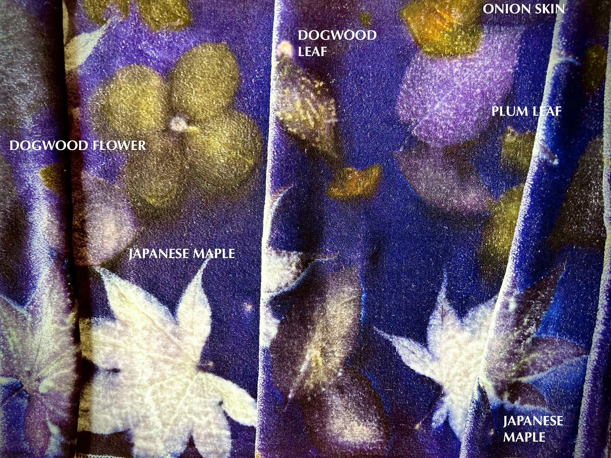 silk velvet shawl.jpg