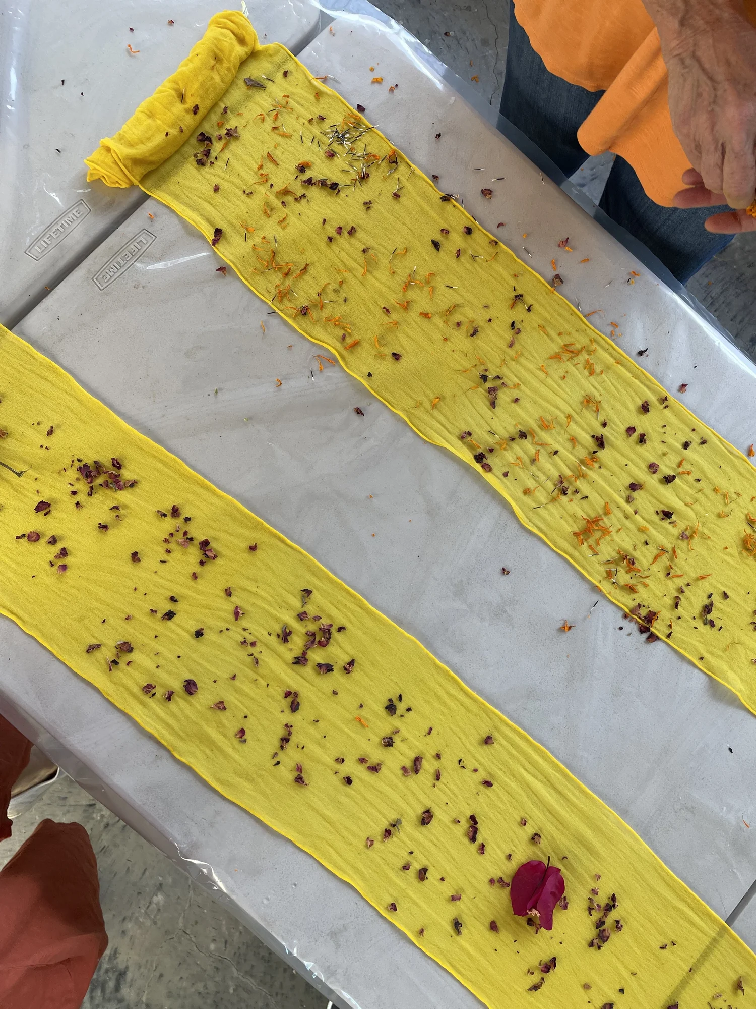 How to ecoprint with tannin, iron blanket on fabric — FLORA OBSCURA