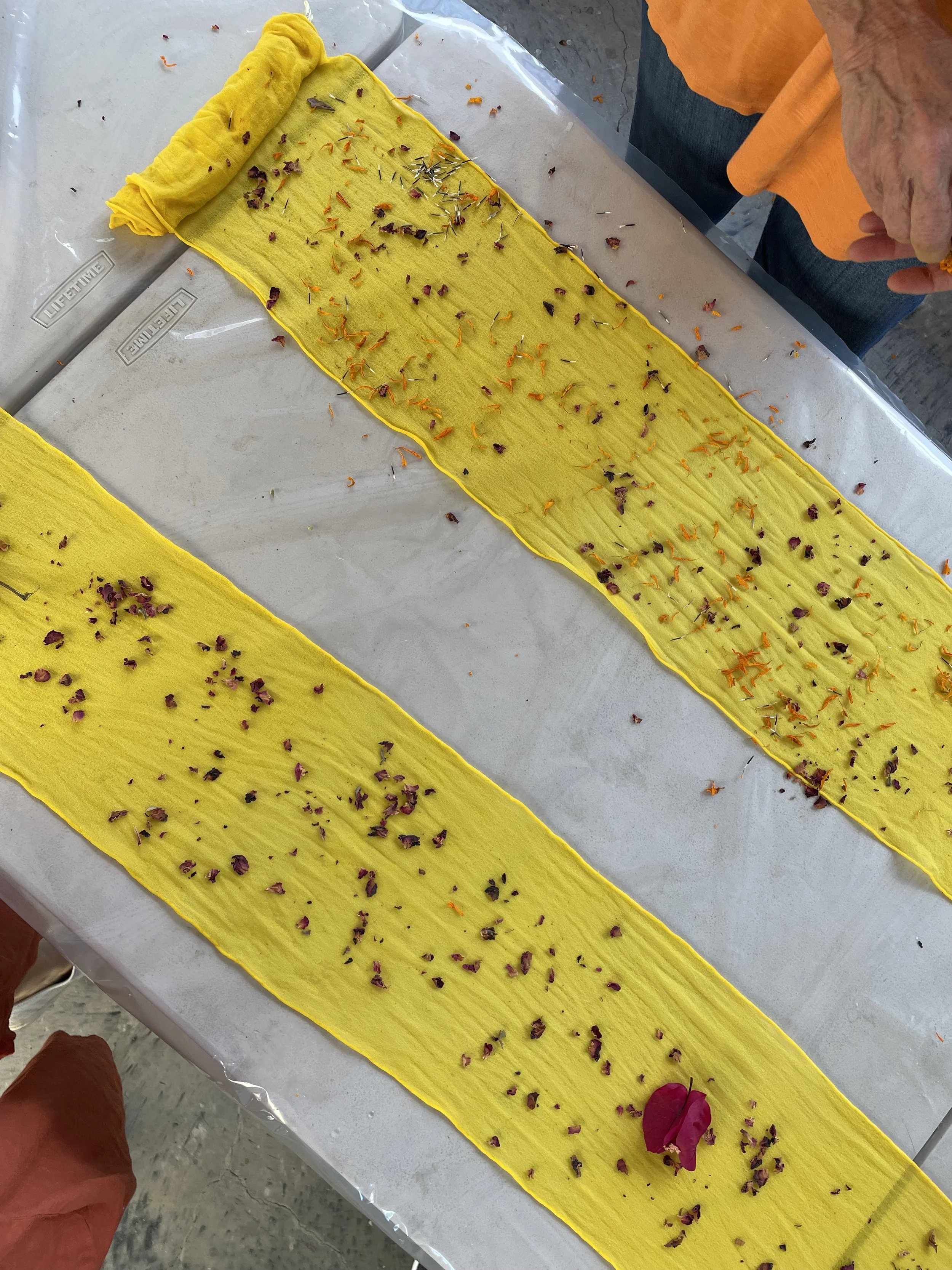 How to ecoprint with tannin, iron blanket on fabric — FLORA OBSCURA