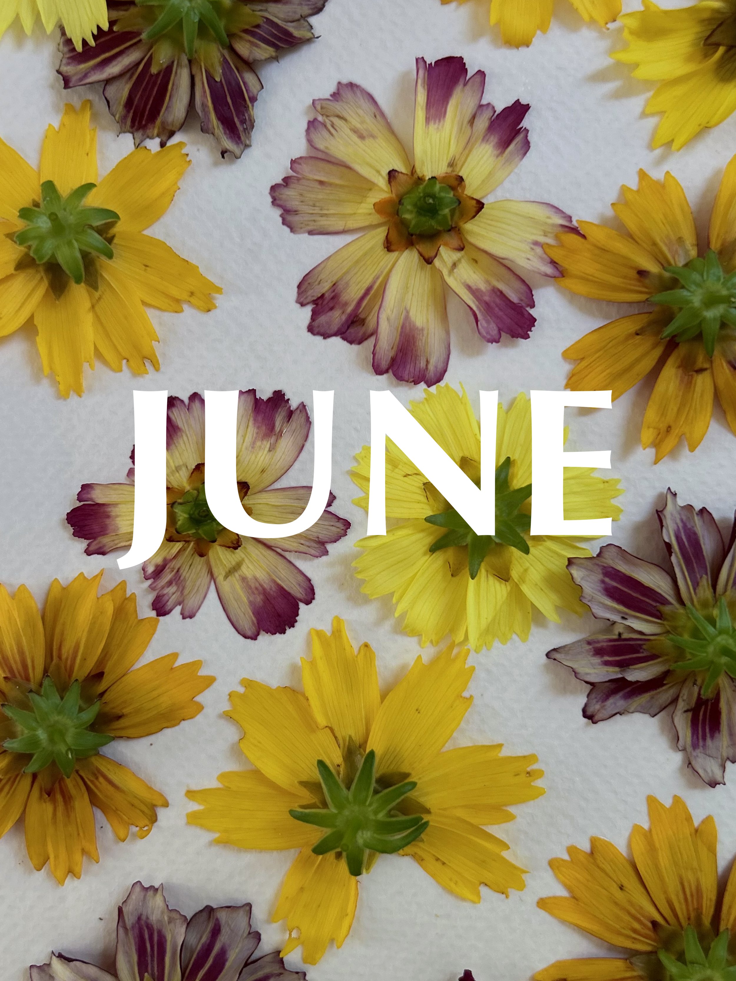 BOTANICAL PRINT MASTERCLASS JUNE: Peak Color and Abundance