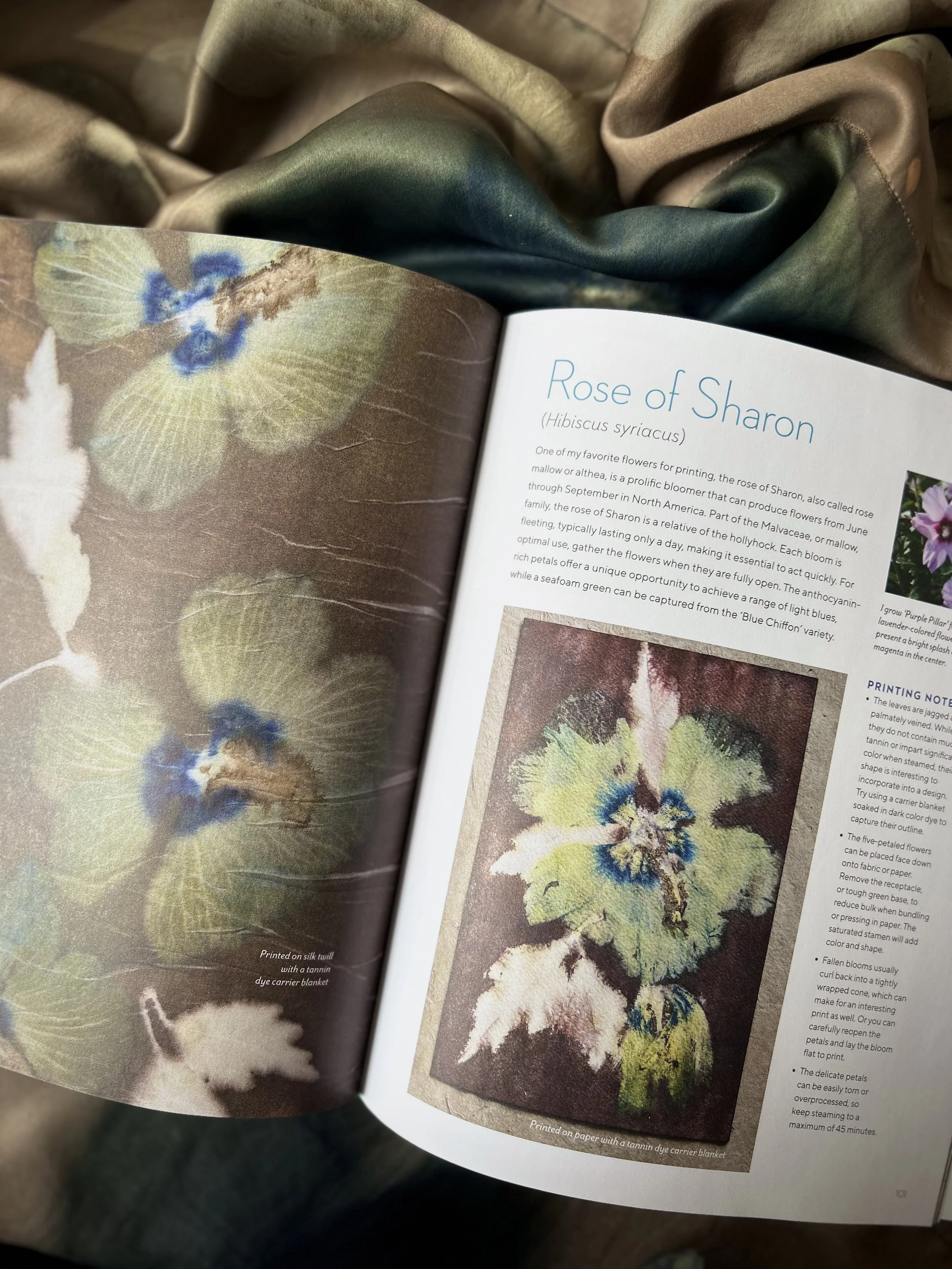 Printing from the garden book page aqua flower eco printed on paper and silk