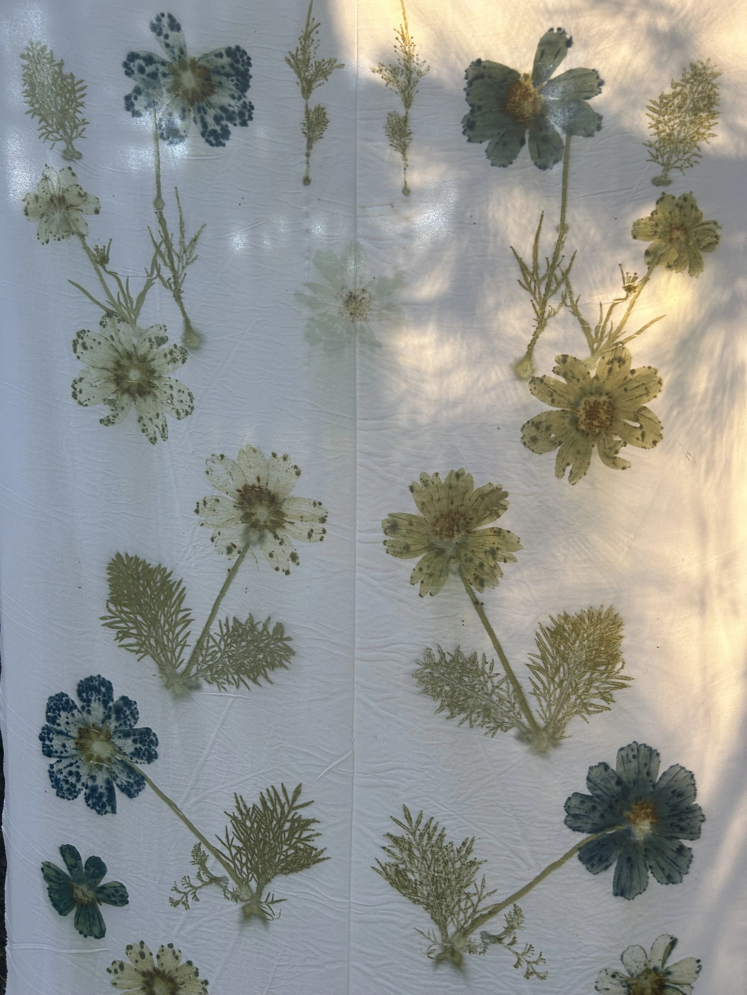 Close-up of pink cosmos flower print on ivory silk fabric, watercolor-like edges