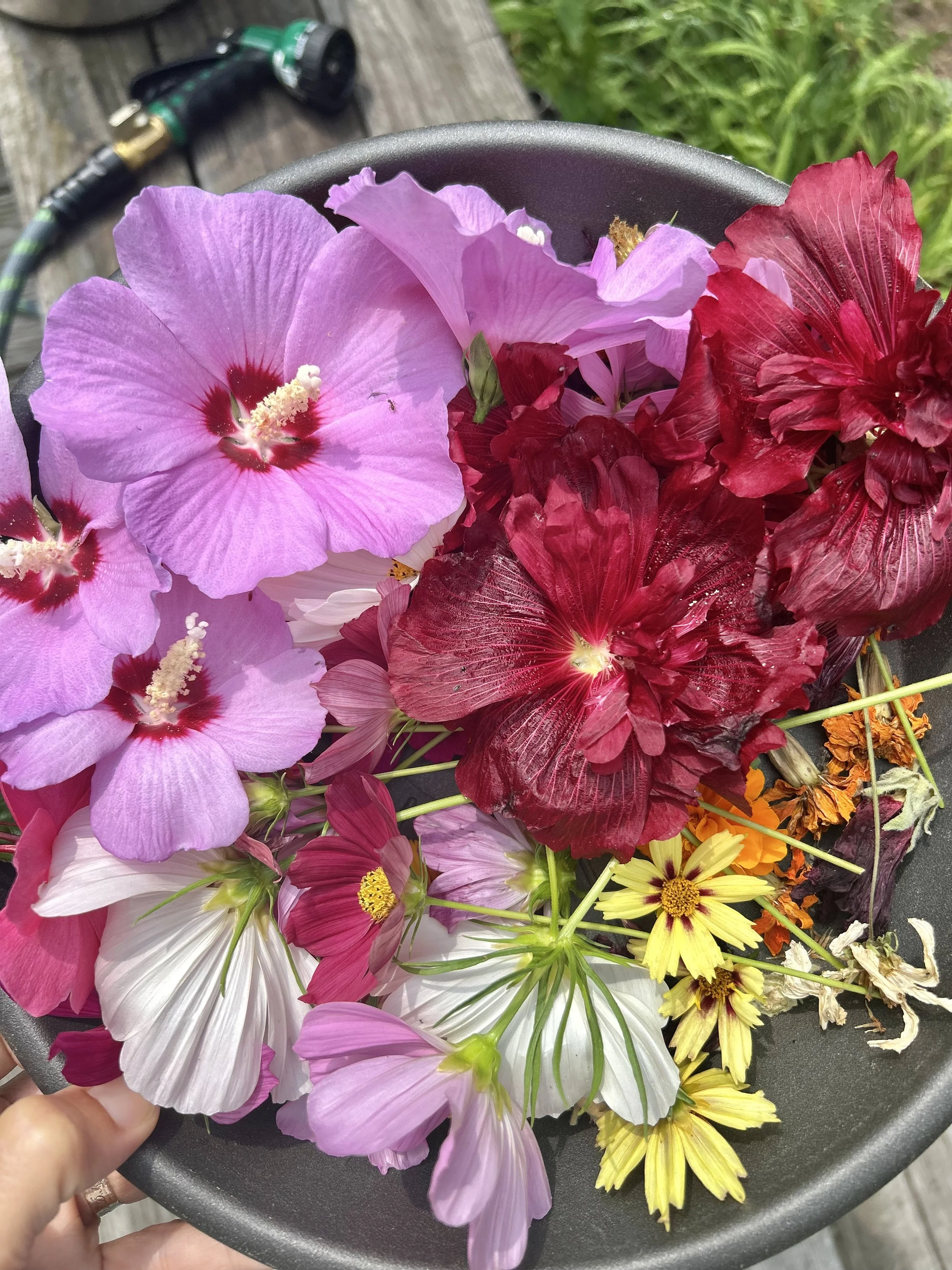 natural dye garden flowers dyeing printing