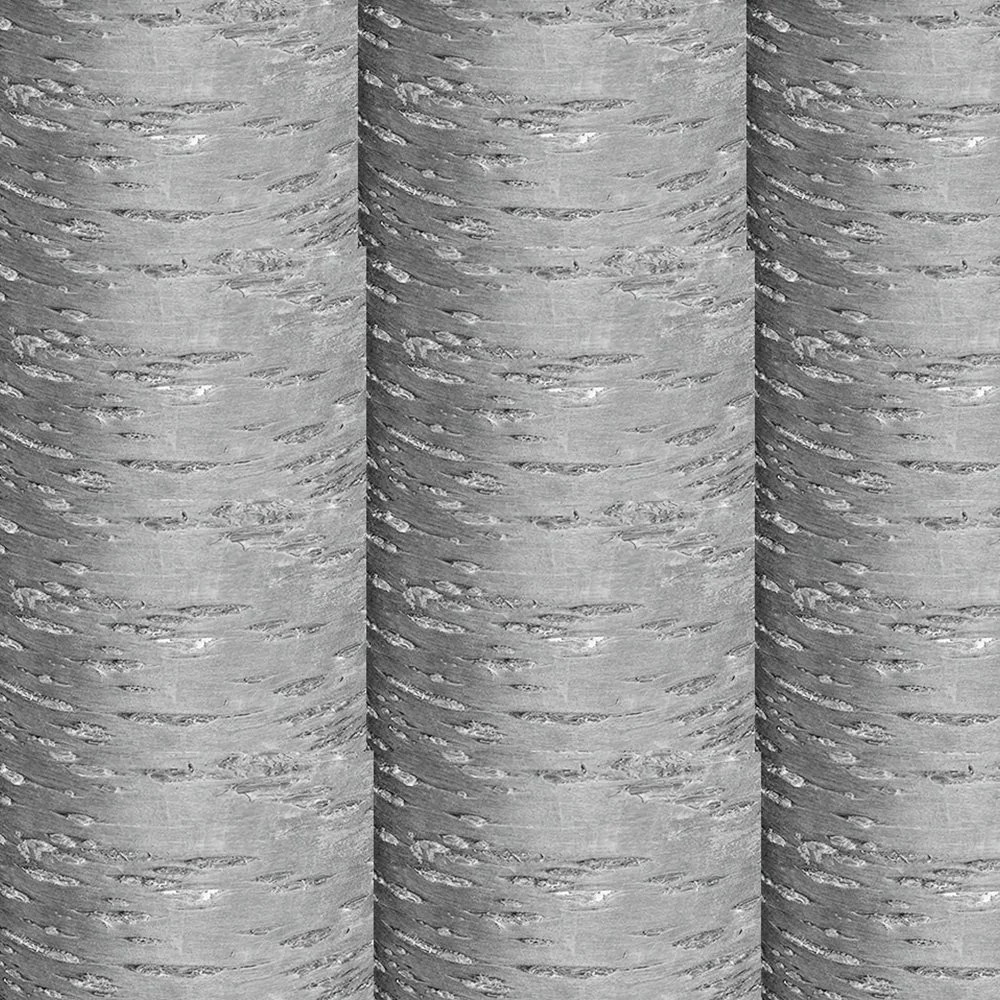 reduce saturation silver fish.jpg