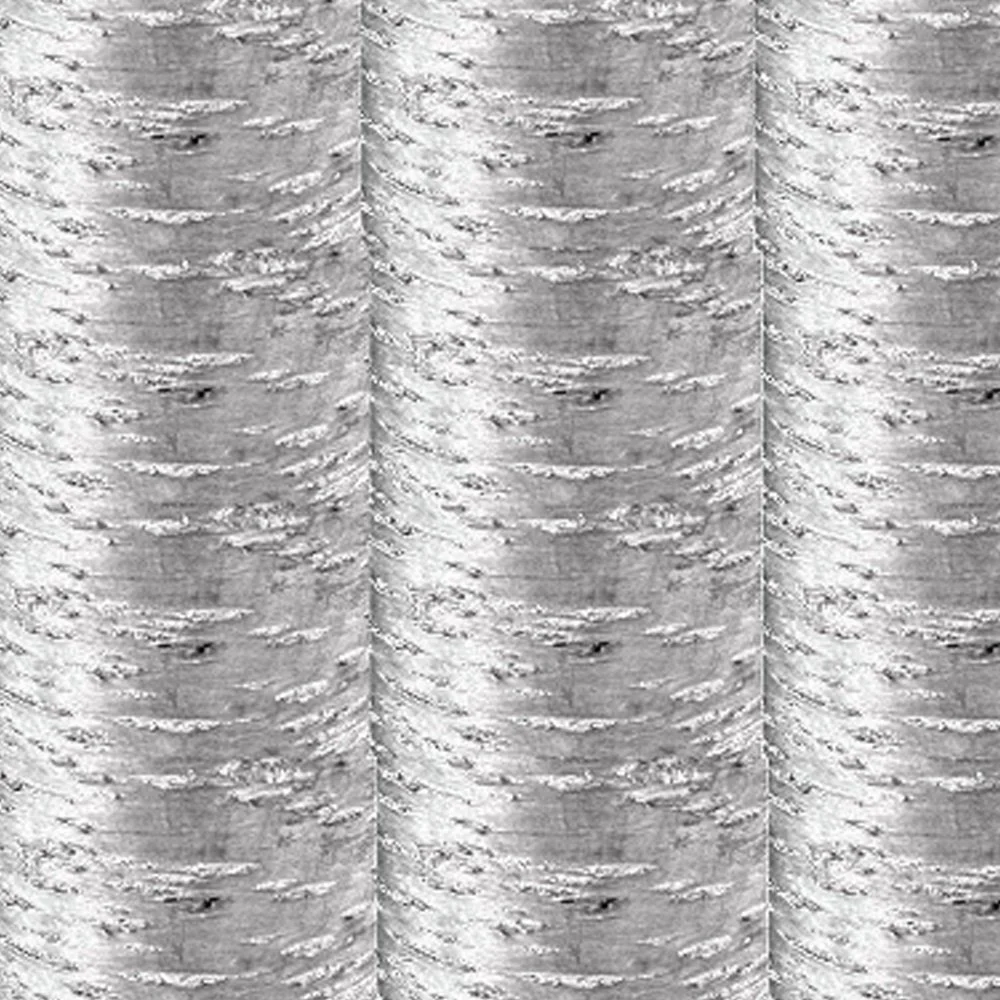 solarize silver fish copy.jpg