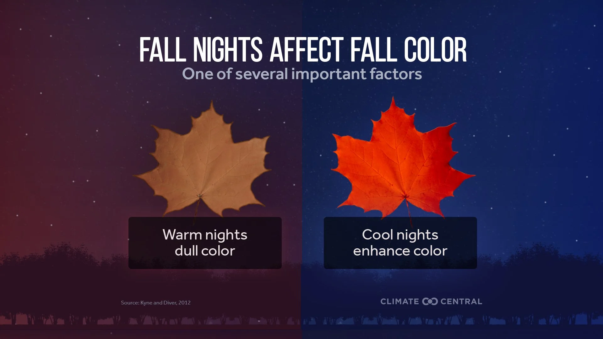 2024FallFoliage_Brilliance_en_title_lg.jpg