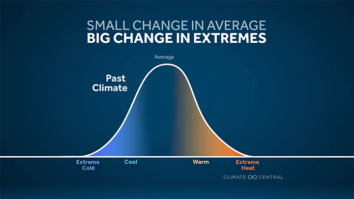 2025AttributionBasics_BellCurve_en_title_lg (2).gif