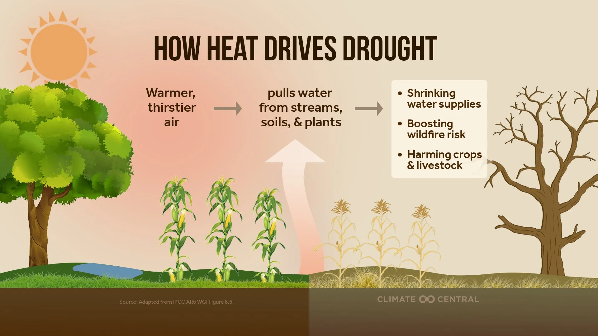 2025Drought_HeatDriven_en_title_lg (1).jpg