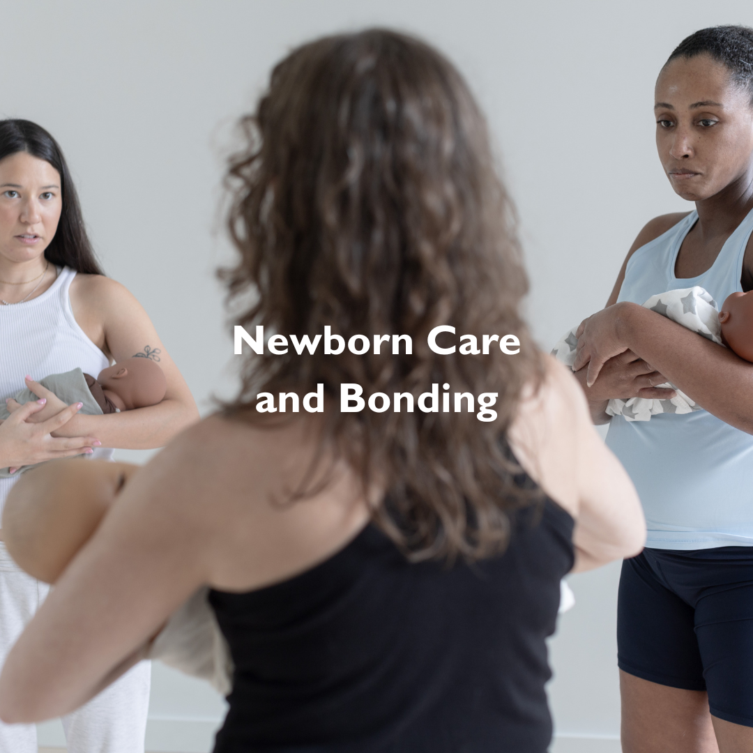 Sunday, March 22nd - 12:30-3:30pm