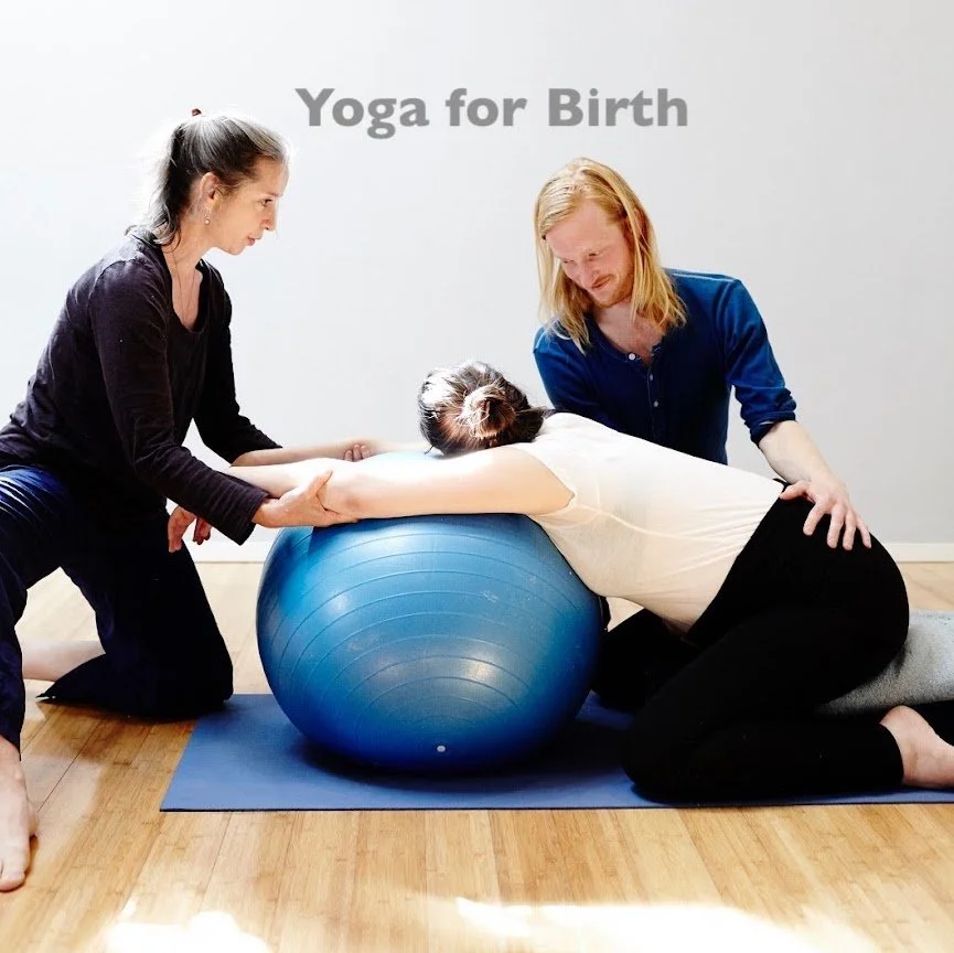 November 1 at 3:30pm-- 
Explore practical tools for navigating the physical and emotional process of labor and delivery. Join Master educator, Lara Kohn Thompson, to practice positions and explore how breath and posture can be used to encourage labor