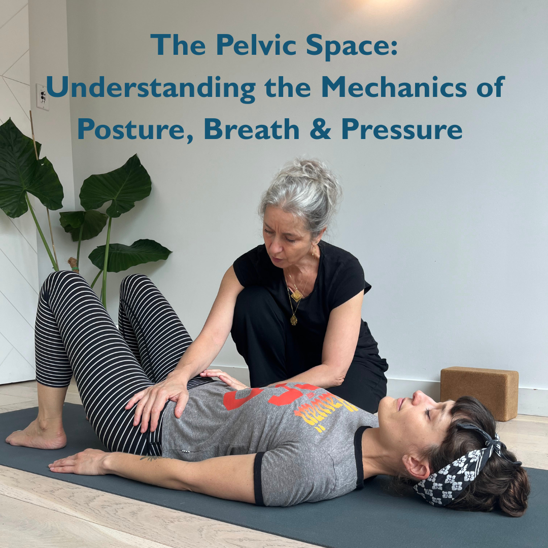 Saturday, April 18 - 3:30 - 5:30 pm - Through a movement-based approach using non-invasive exercises, bring awareness to an area of the body that is often ignored or misunderstood.