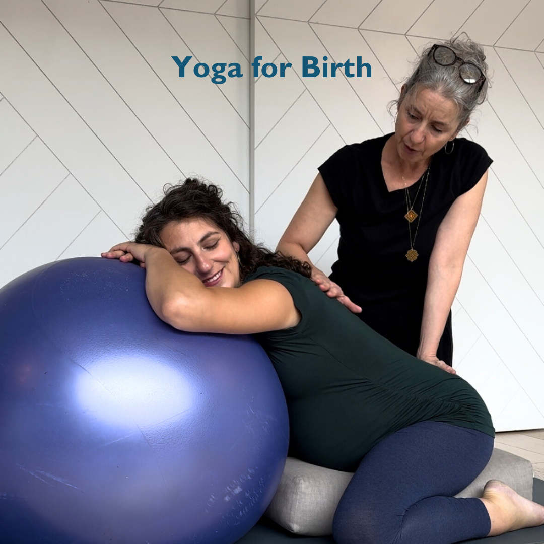 Saturday, Jan 31, 3:30-6:30pm - Expecting parents will learn practical tools for navigating the physical and emotional process of labor and delivery.