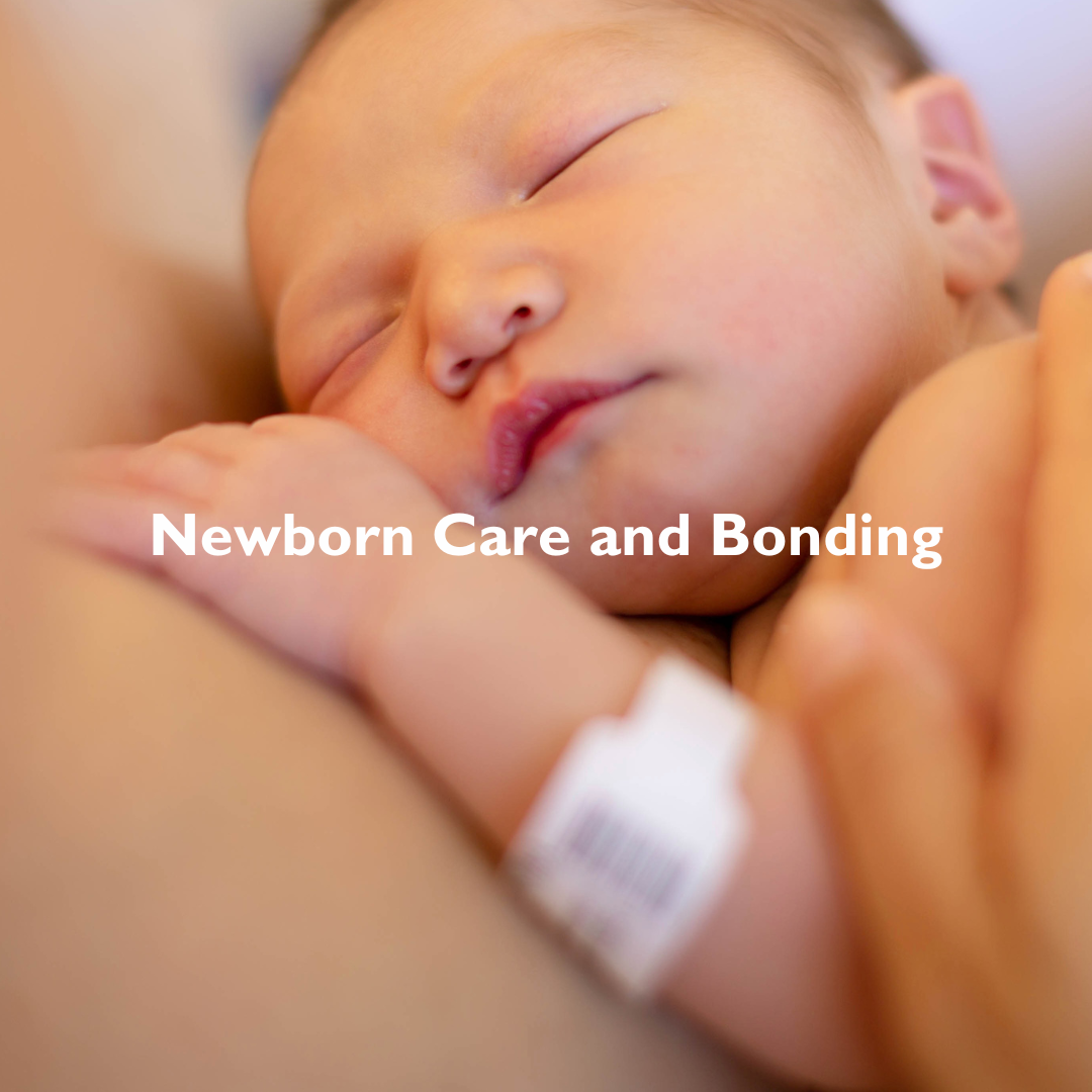 Sunday, Feb 1, 12:30 - 3:30pm - A great workshop for parents to be with hands-on practice: how to swaddle, change a diaper, how to put Baby down to sleep and more. 