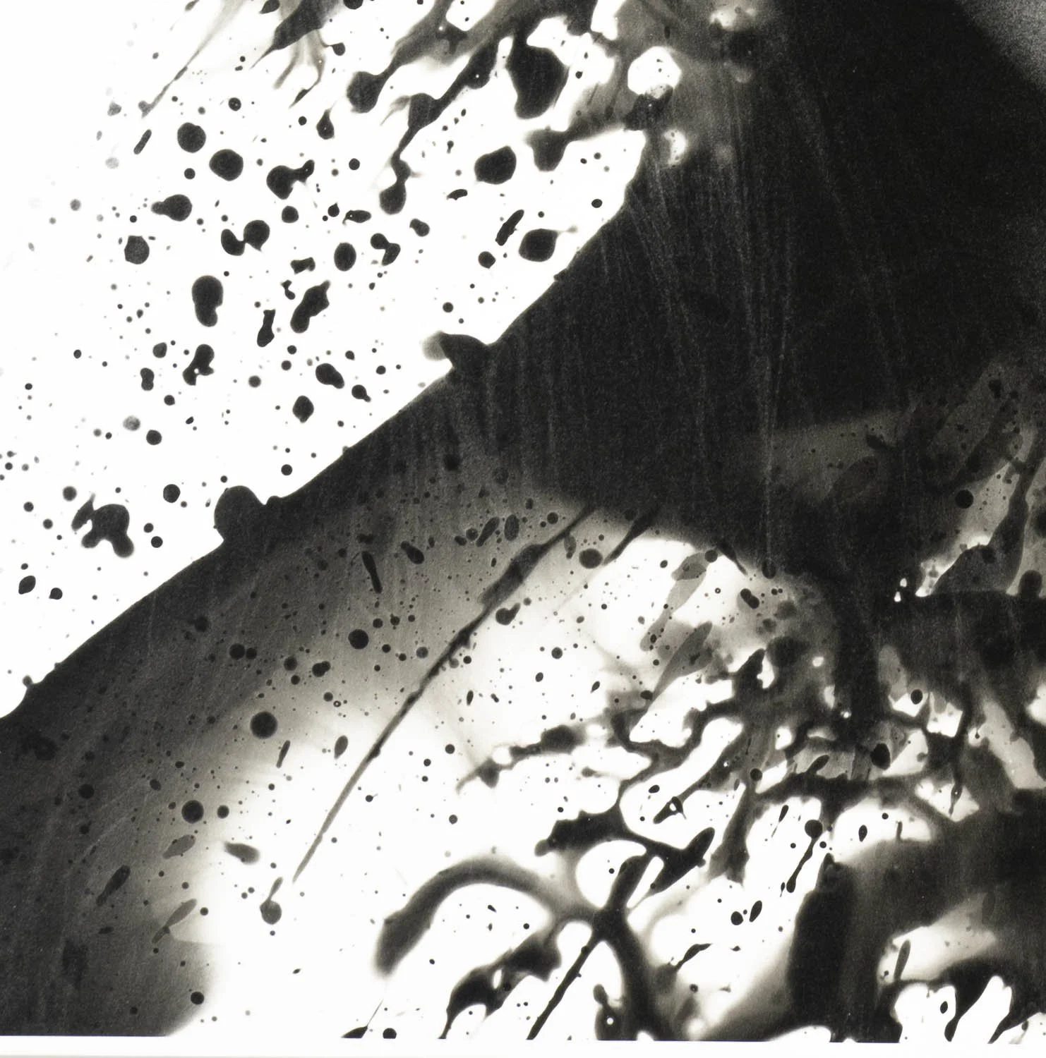 Peaceful Minds II 12-15.jpg