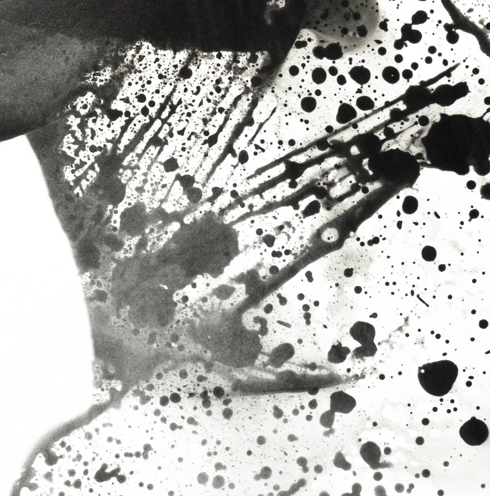 Peaceful Minds I 5-15.jpg