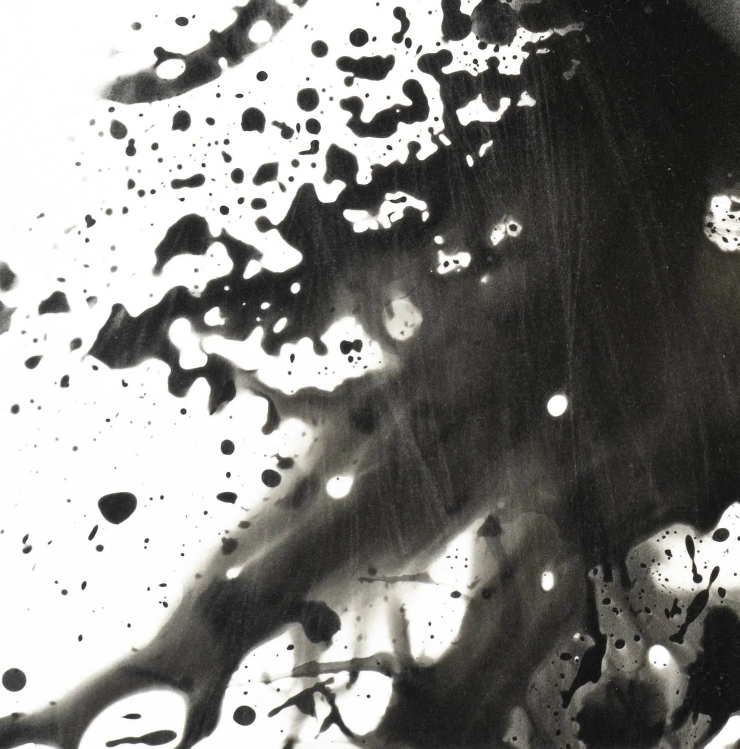 Peaceful Minds II 3-15.jpg