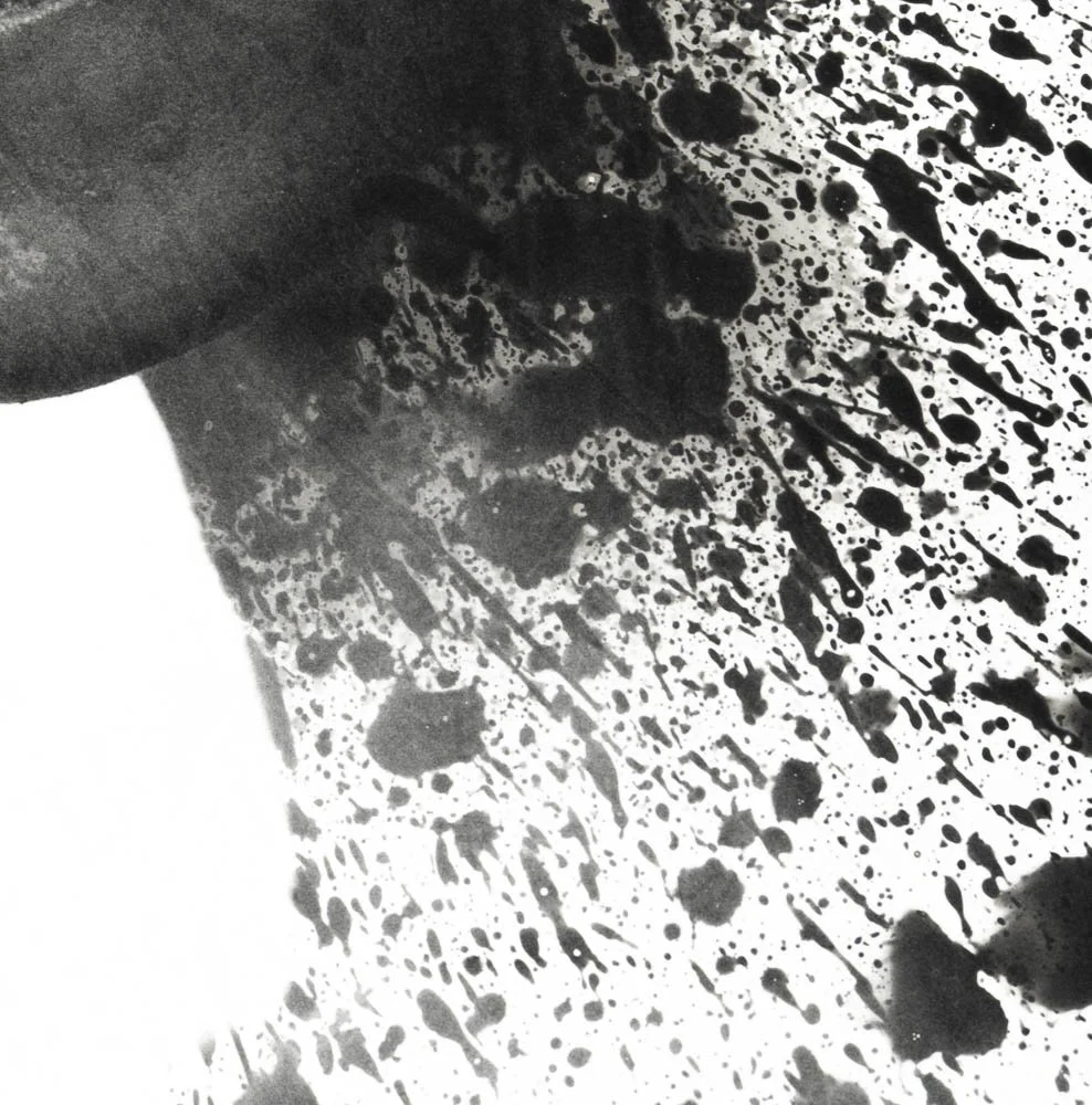 Peaceful Minds I 12-15.jpg