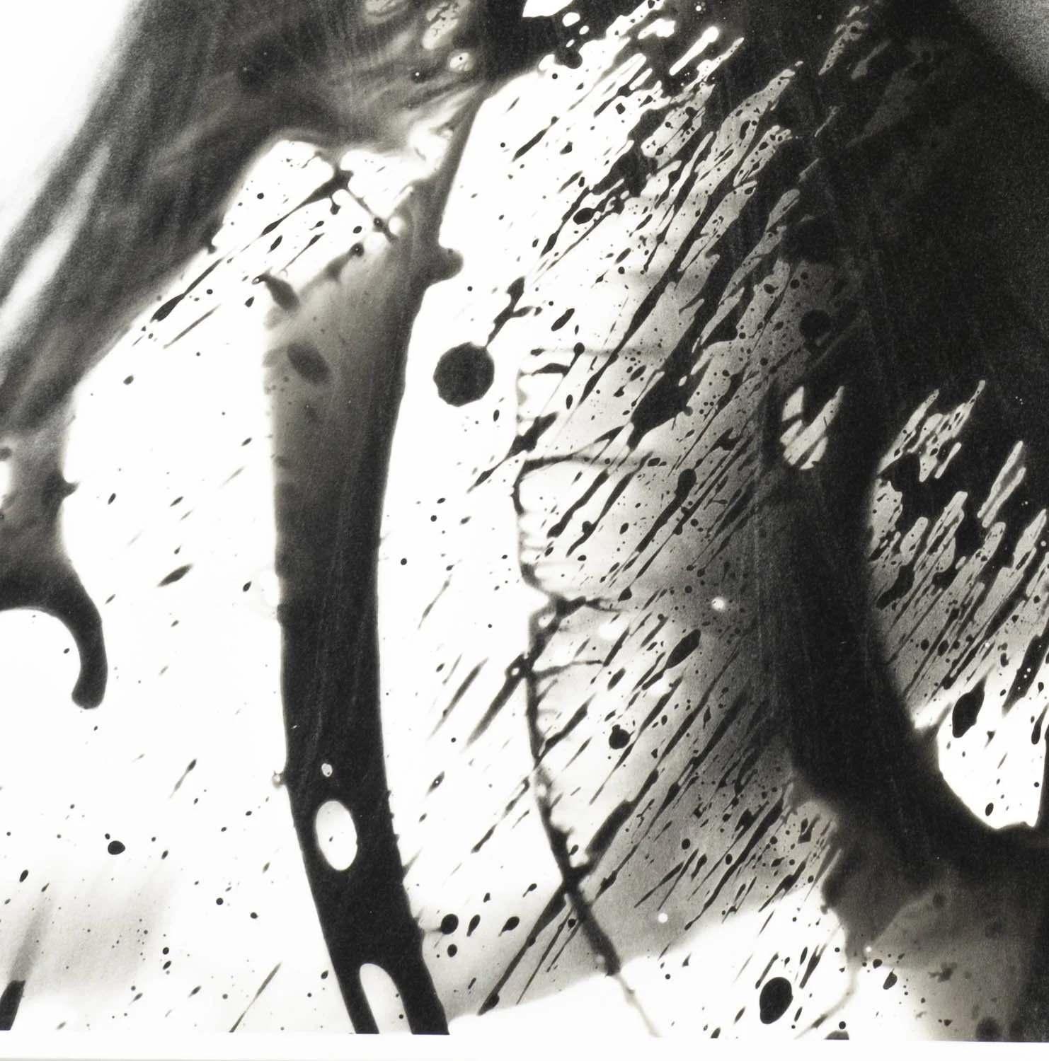 Peaceful Minds II 11-15.jpg